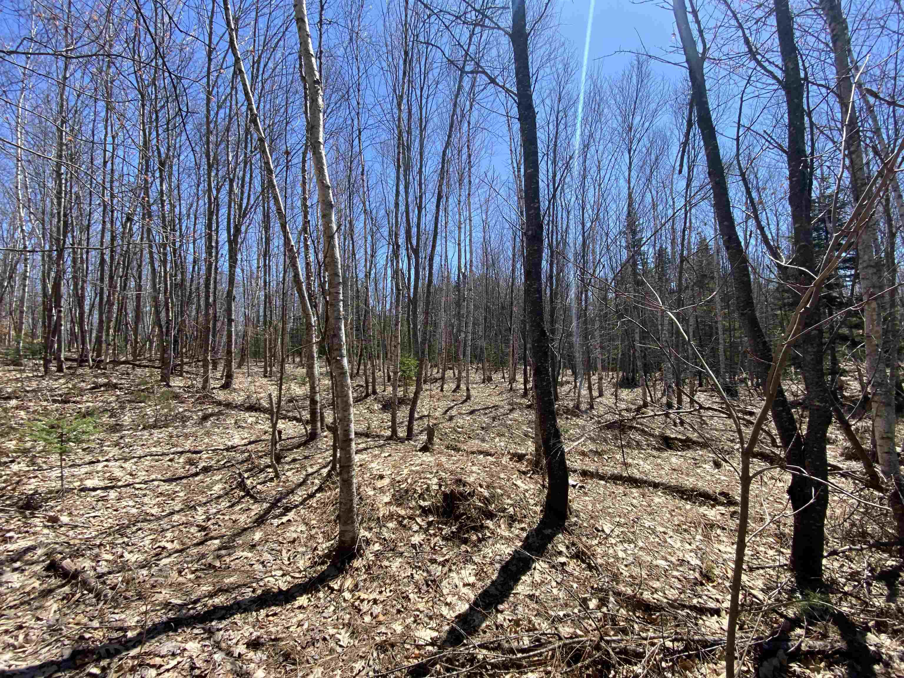 Homes for sale in Newbury, VT | Mace Rd, Newbury, VT 05033 | MLS# 5040247