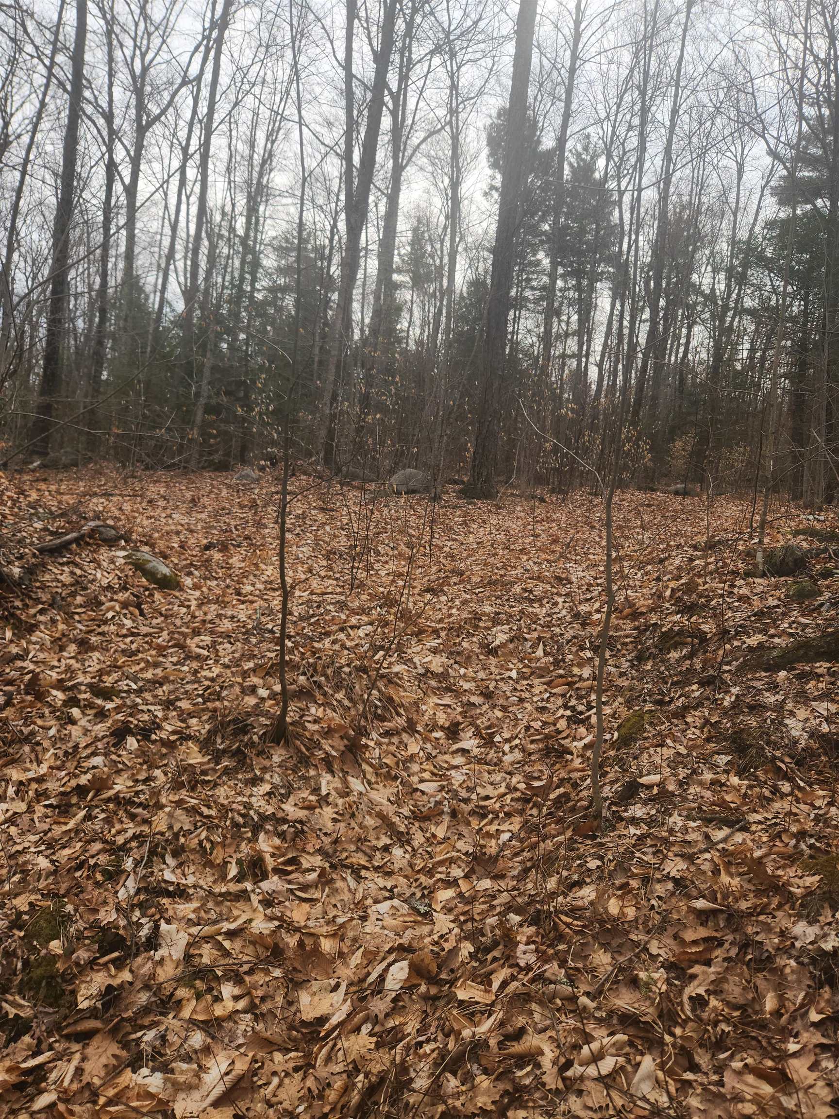 Homes for sale in Richmond, NH | 0 Attleboro Mountain Rd, Richmond, NH 03470 | MLS# 5040264