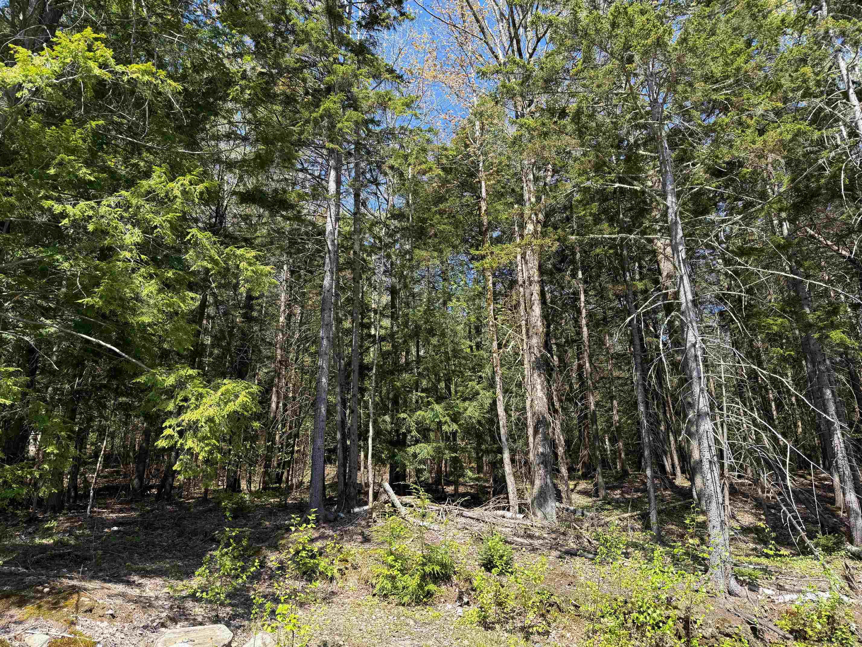 Homes for sale in Morristown, VT | 274 Deerfield Hills Rd, Morristown, VT 05661 | MLS# 5040778