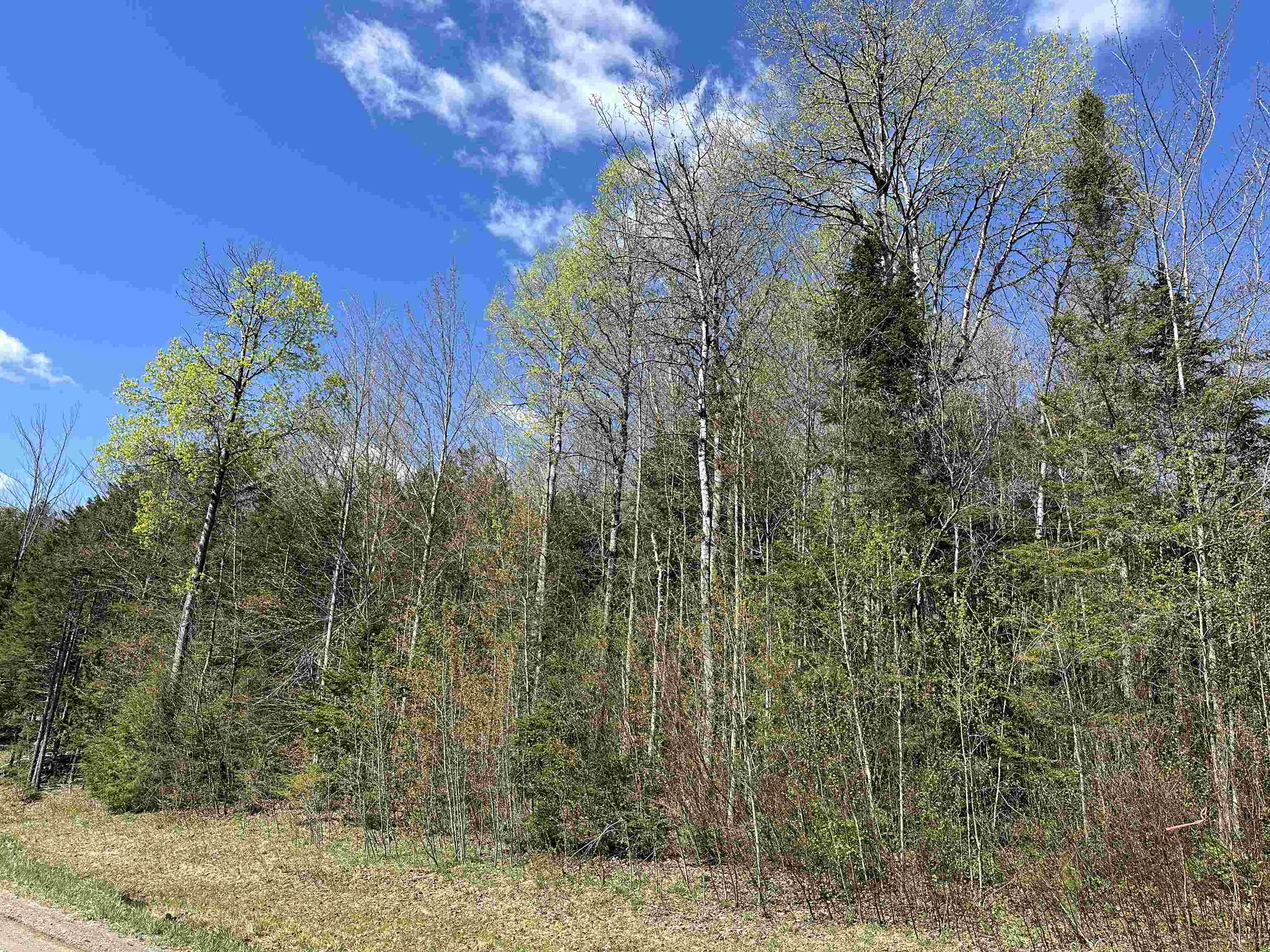 Homes for sale in Morristown, VT | 274 Deerfield Hills Rd, Morristown, VT 05661 | MLS# 5040778