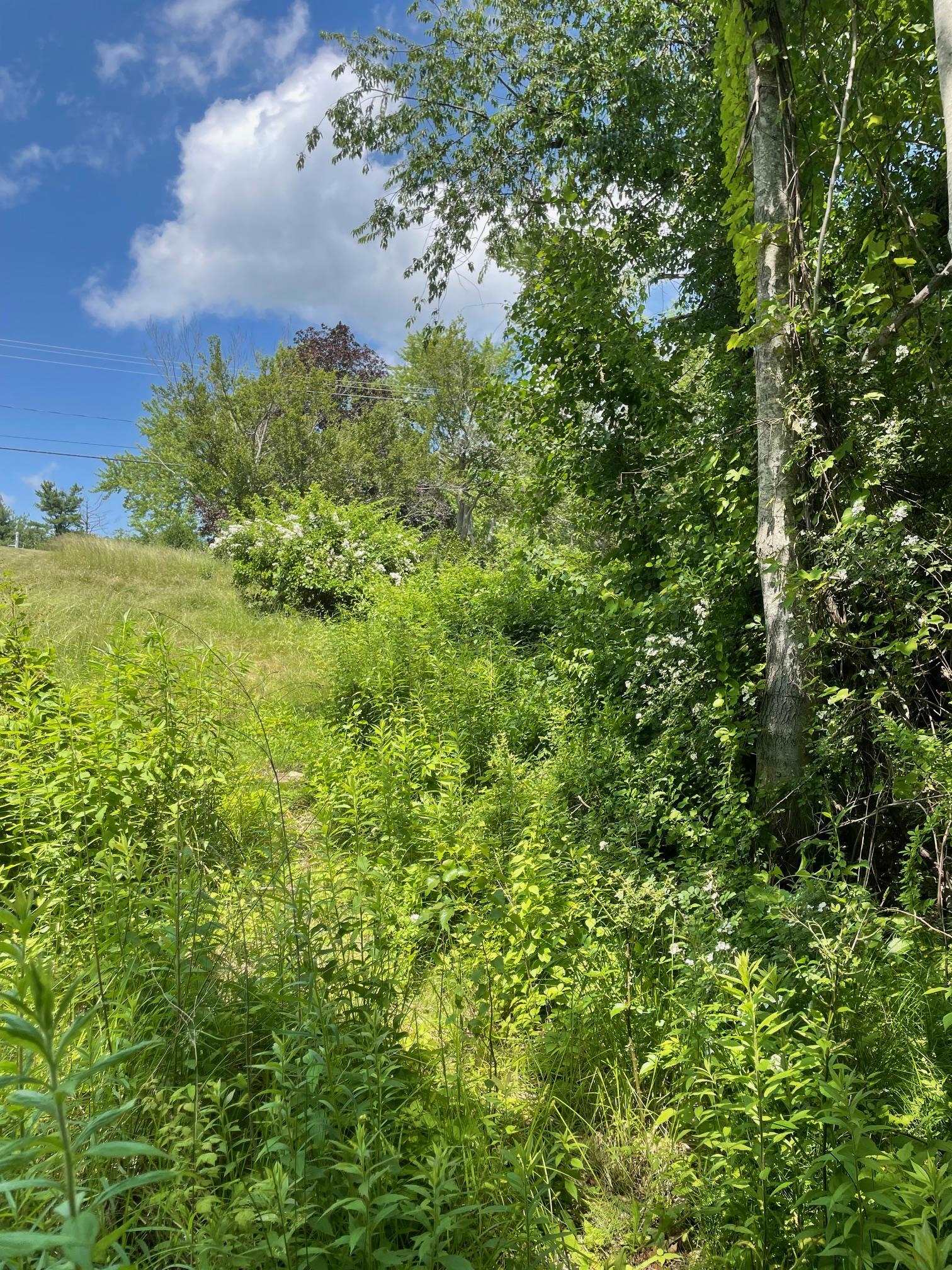 Homes for sale in Stratham, NH | 00 Lovell Rd, Stratham, NH 03885 | MLS# 5040815