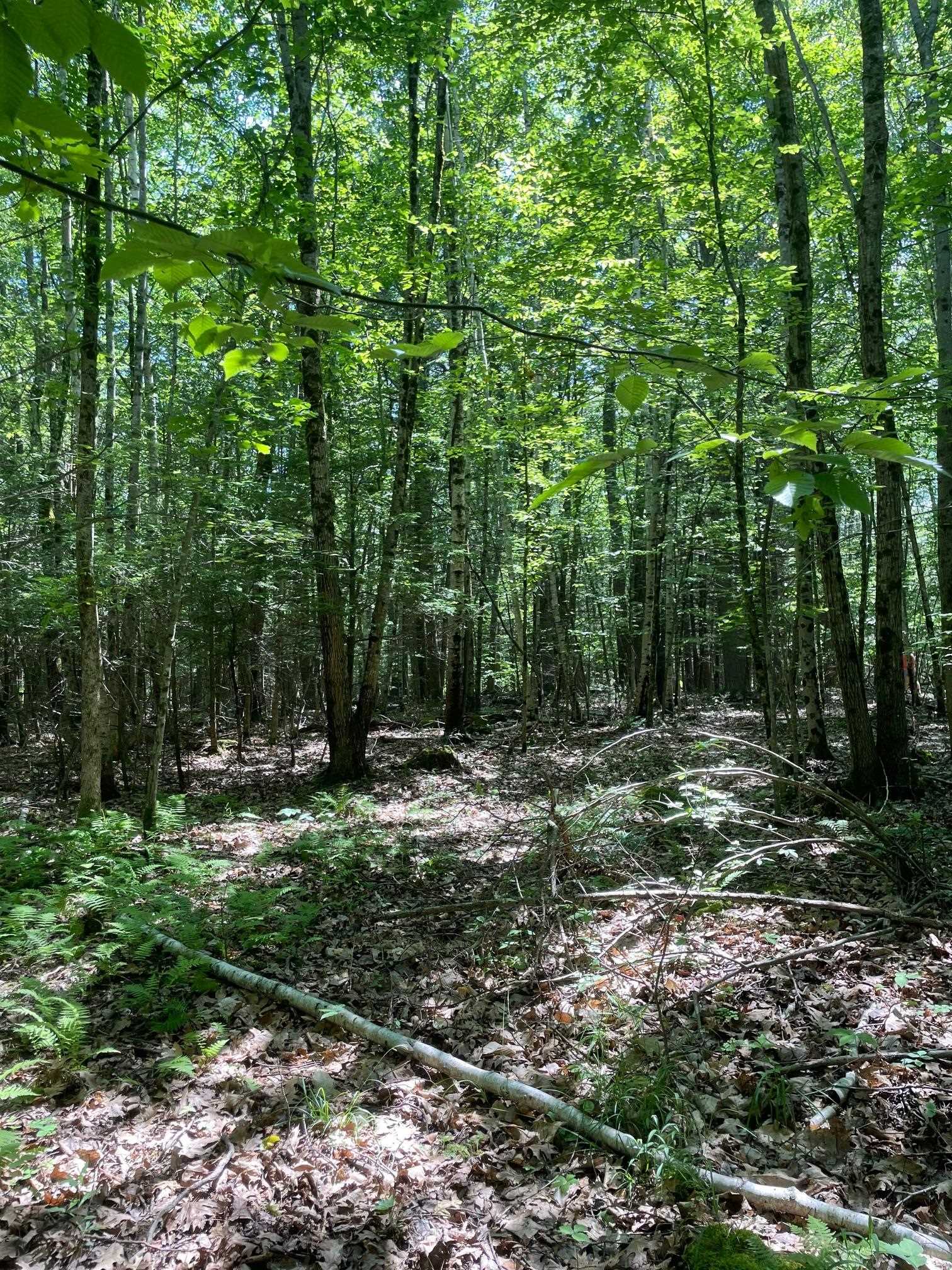 Homes for sale in Stratham, NH | 00 Lovell Rd, Stratham, NH 03885 | MLS# 5040815