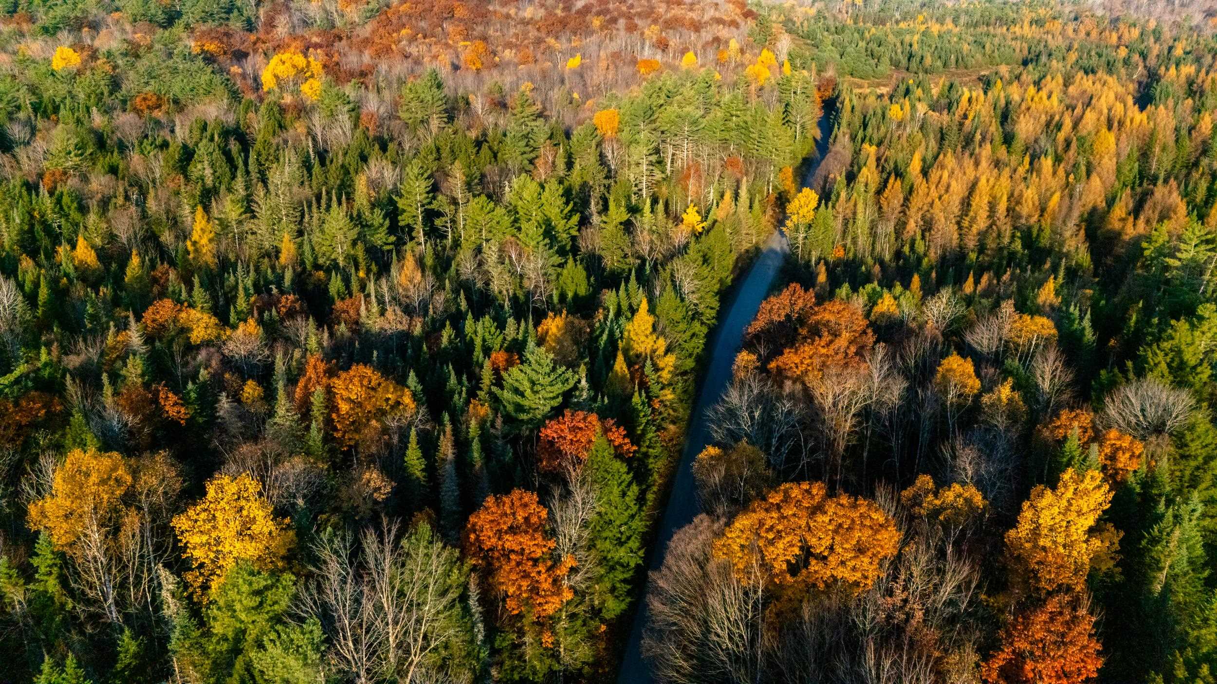 Homes for sale in Bath, NH | 38 Cross Rd, Bath, NH 03740 | MLS# 5040829