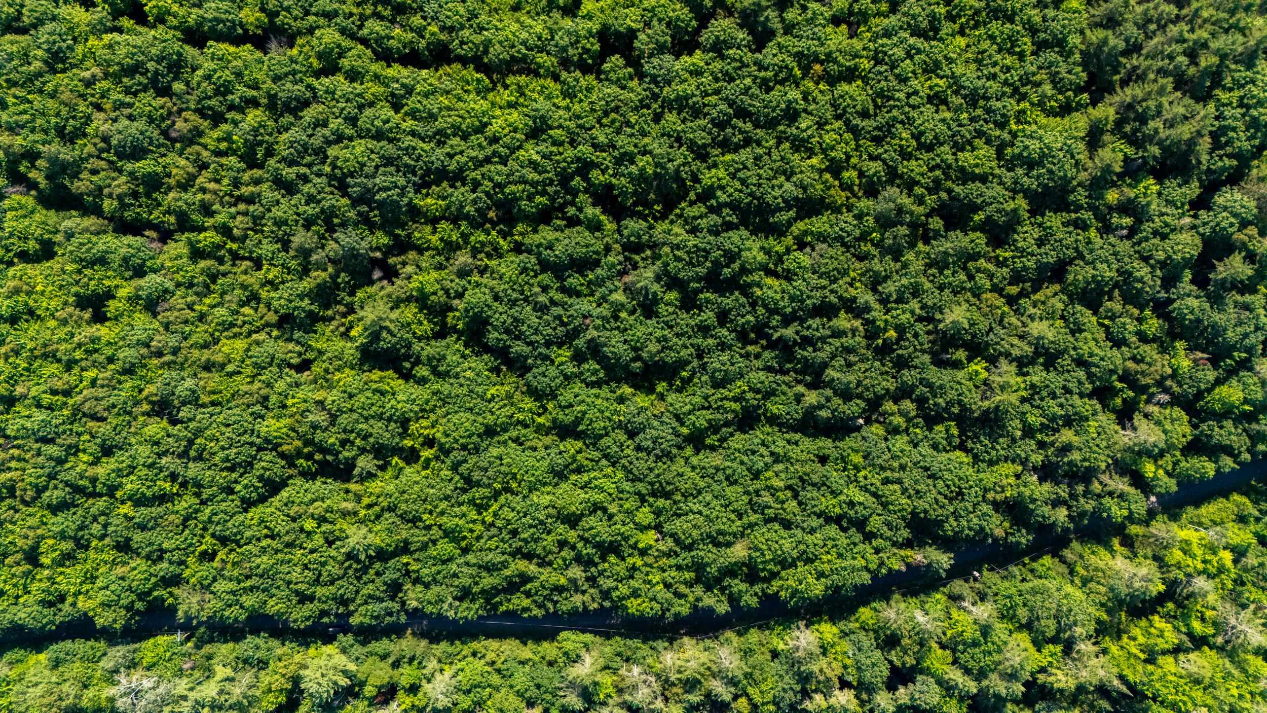 Homes for sale in Bath, NH | 38 F Lang Rd, Bath, NH 03740 | MLS# 5040834