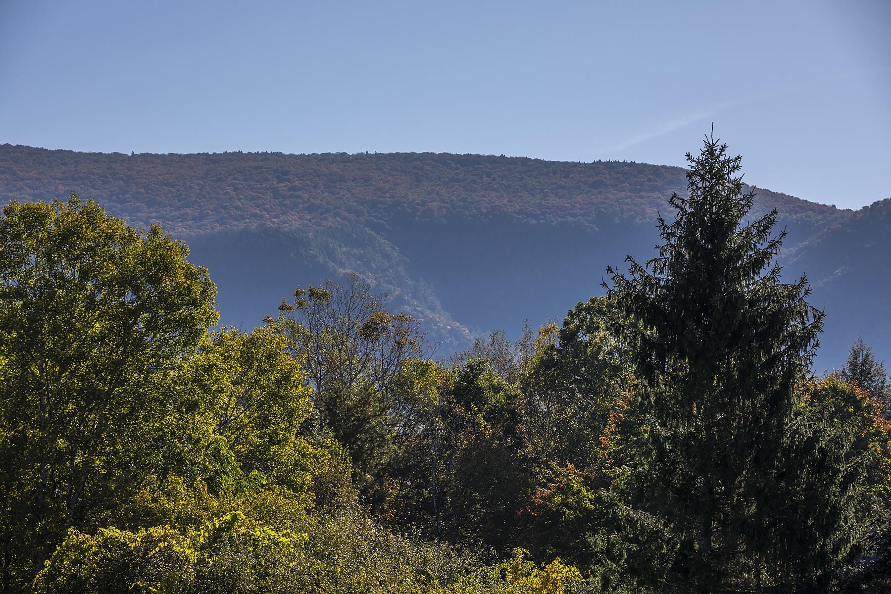 MLS #5040839 image #1