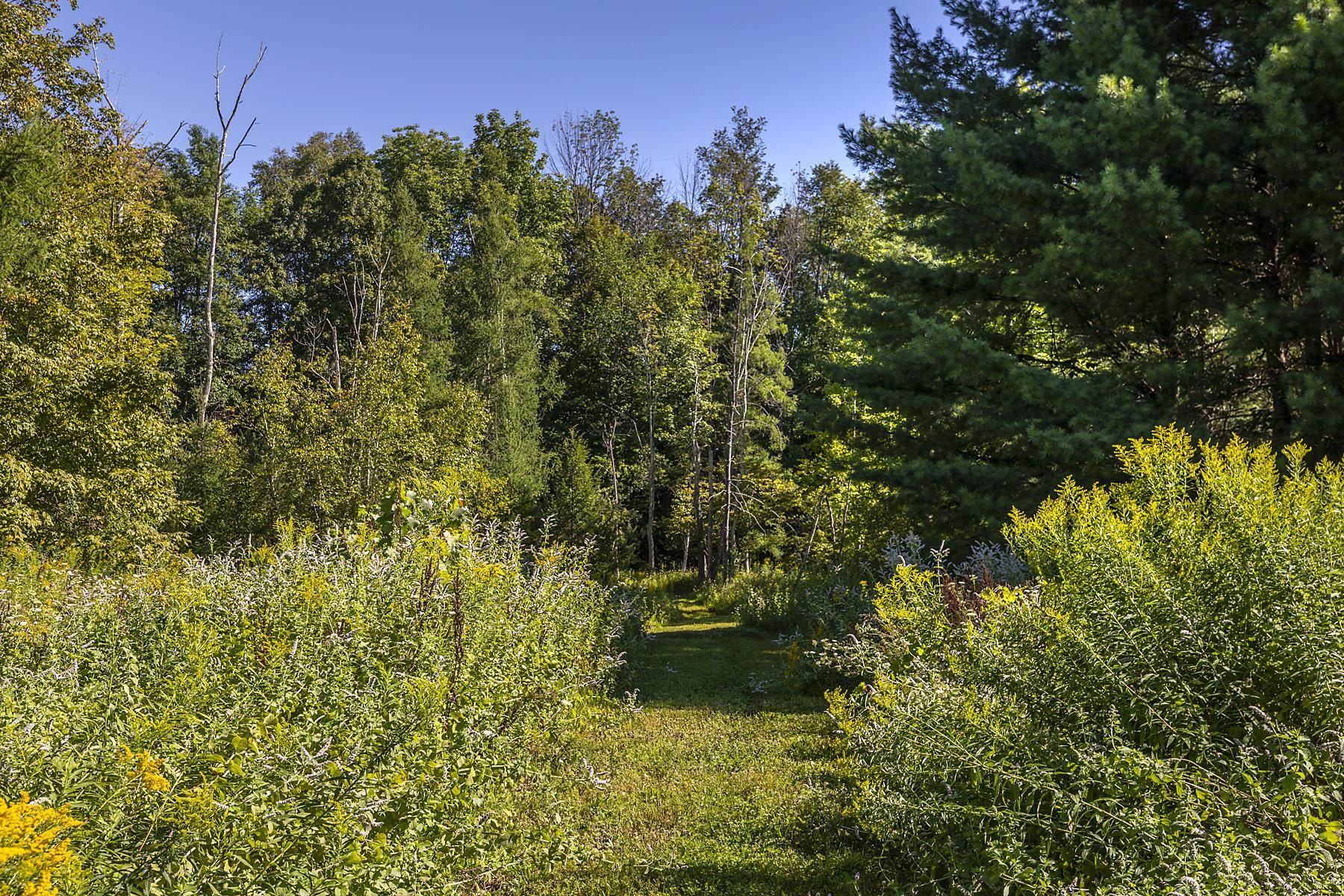 MLS #5040839 image #36