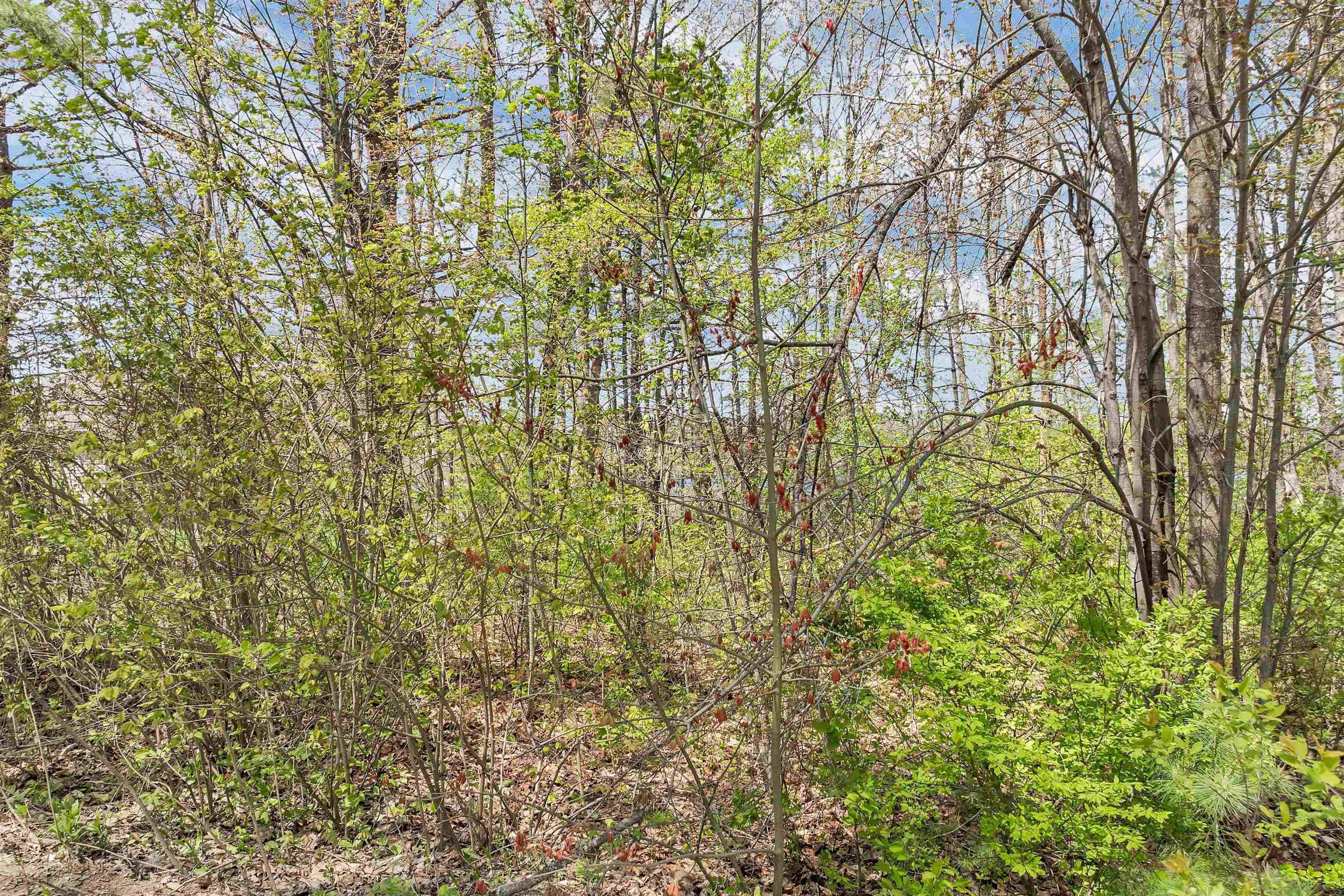 MLS #5040881 image #3