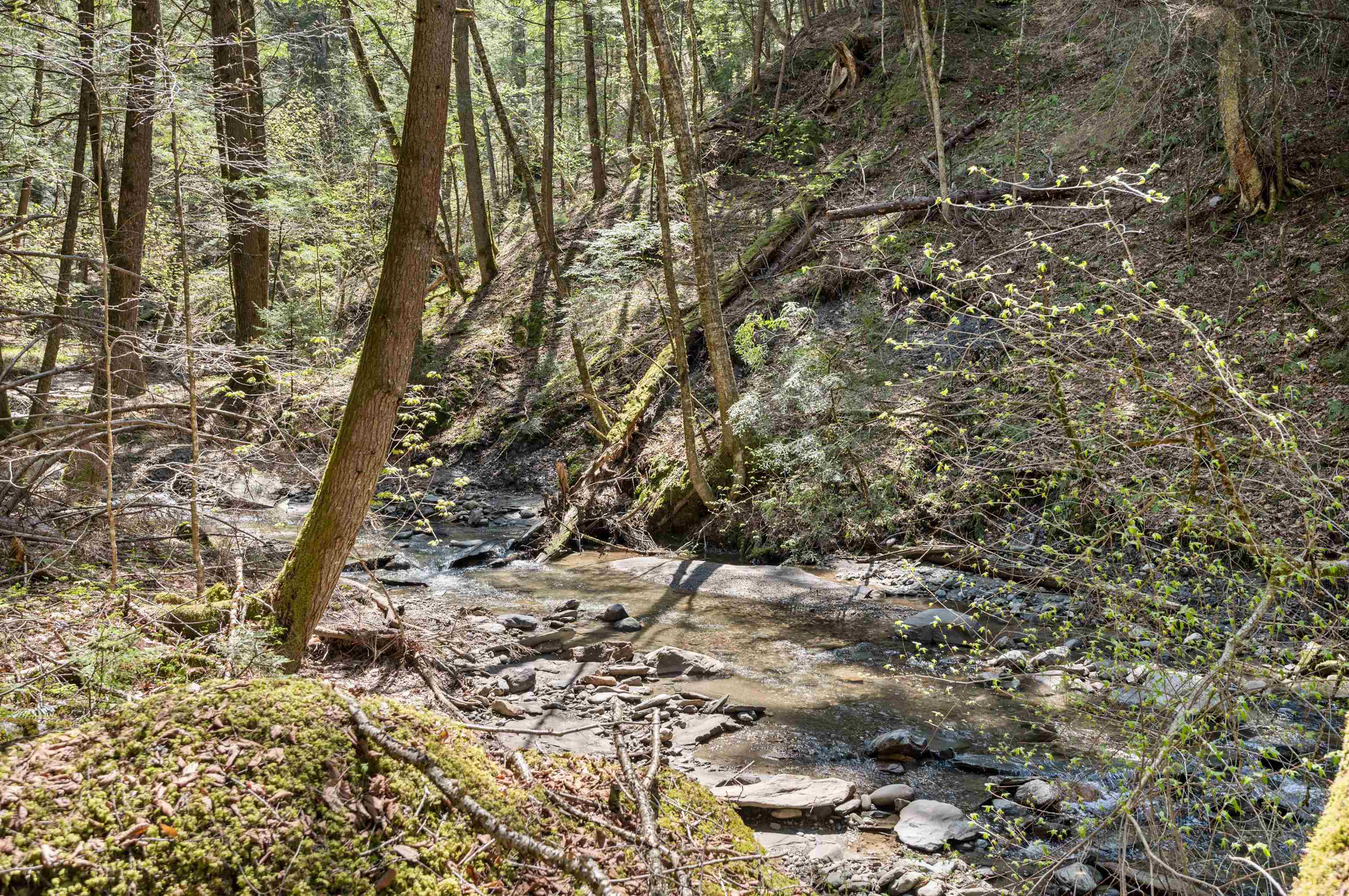 Homes for sale in Waterbury, VT | 581 Perry Lea Rd, Waterbury, VT 05676 | MLS# 5040926