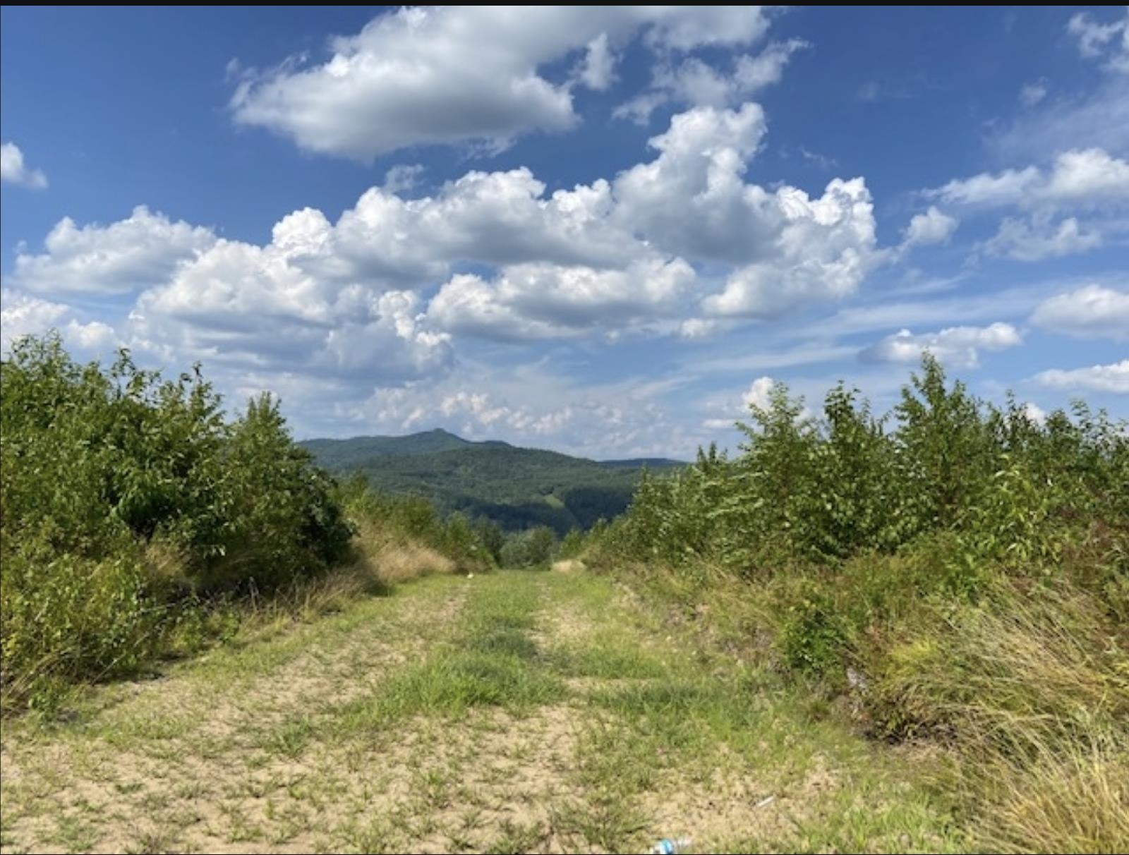 MLS #5041020 image #11