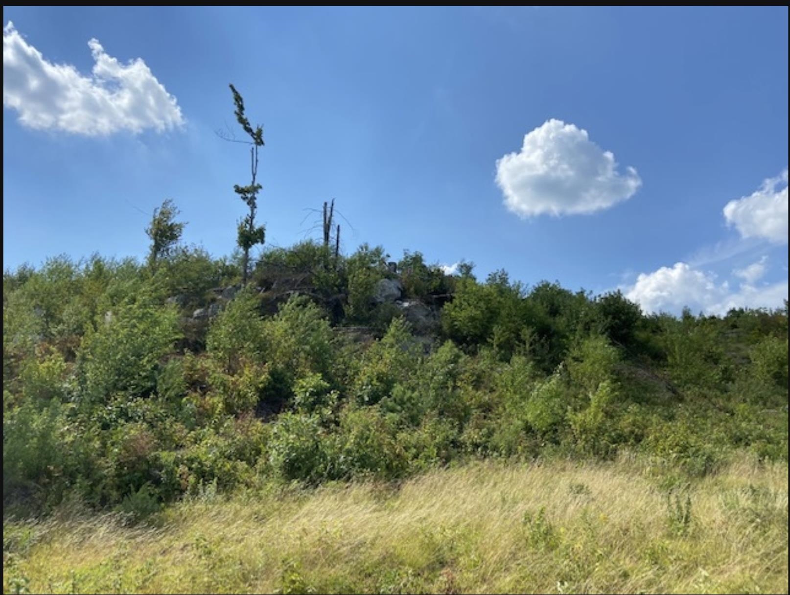 MLS #5041020 image #12