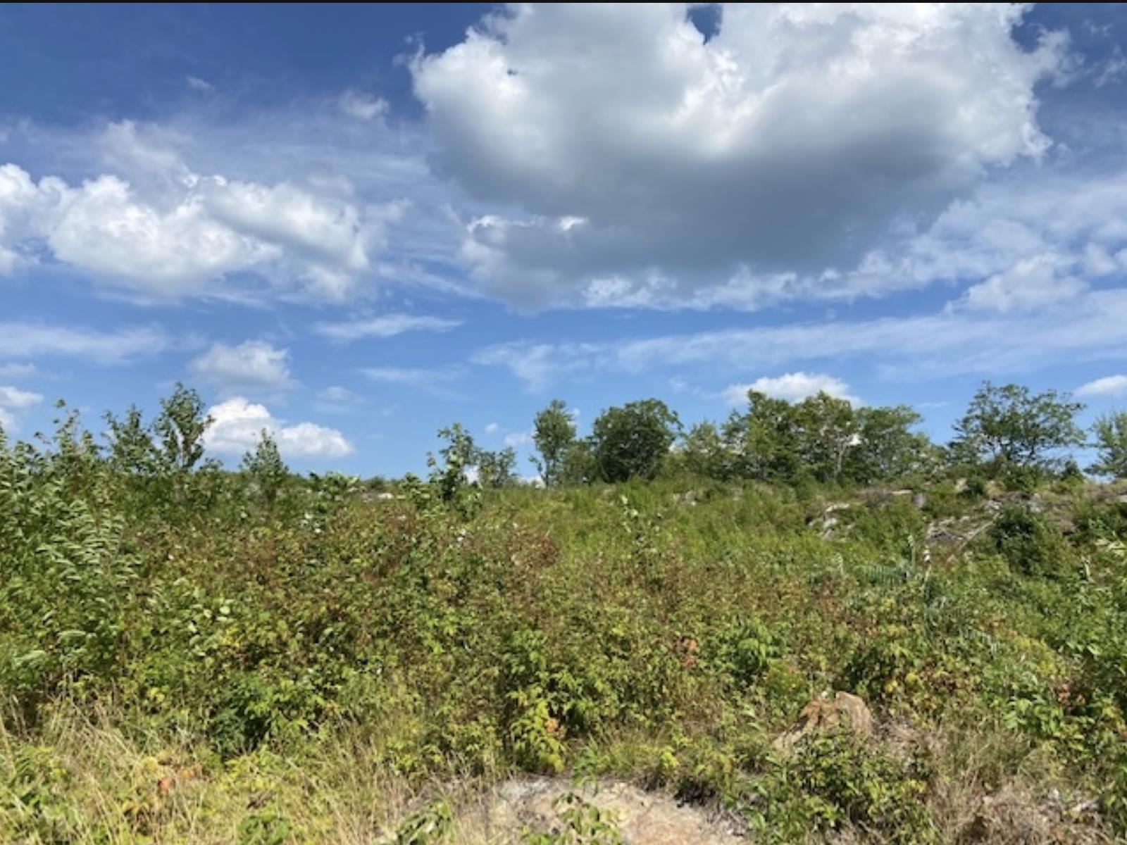 MLS #5041020 image #13