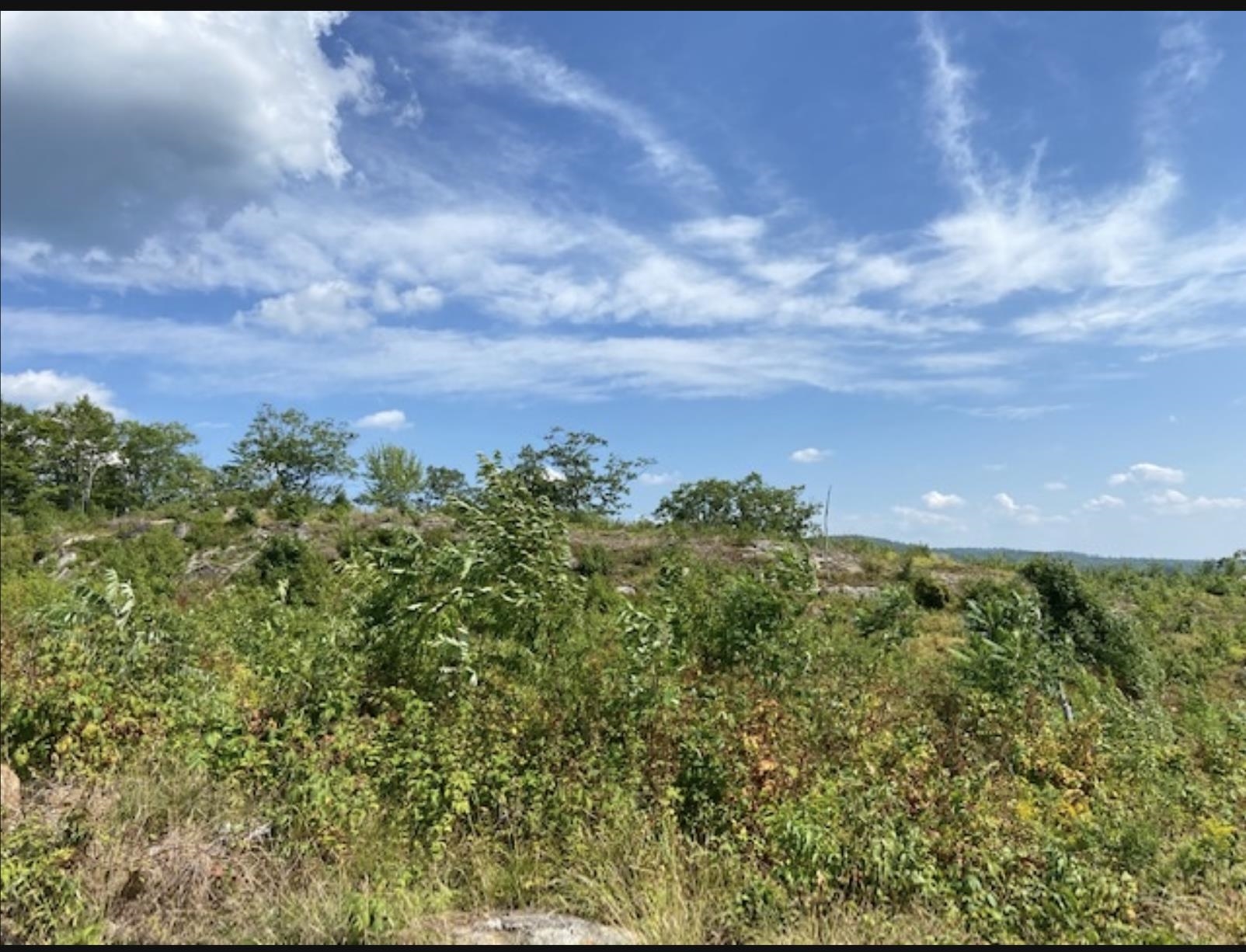 MLS #5041020 image #14