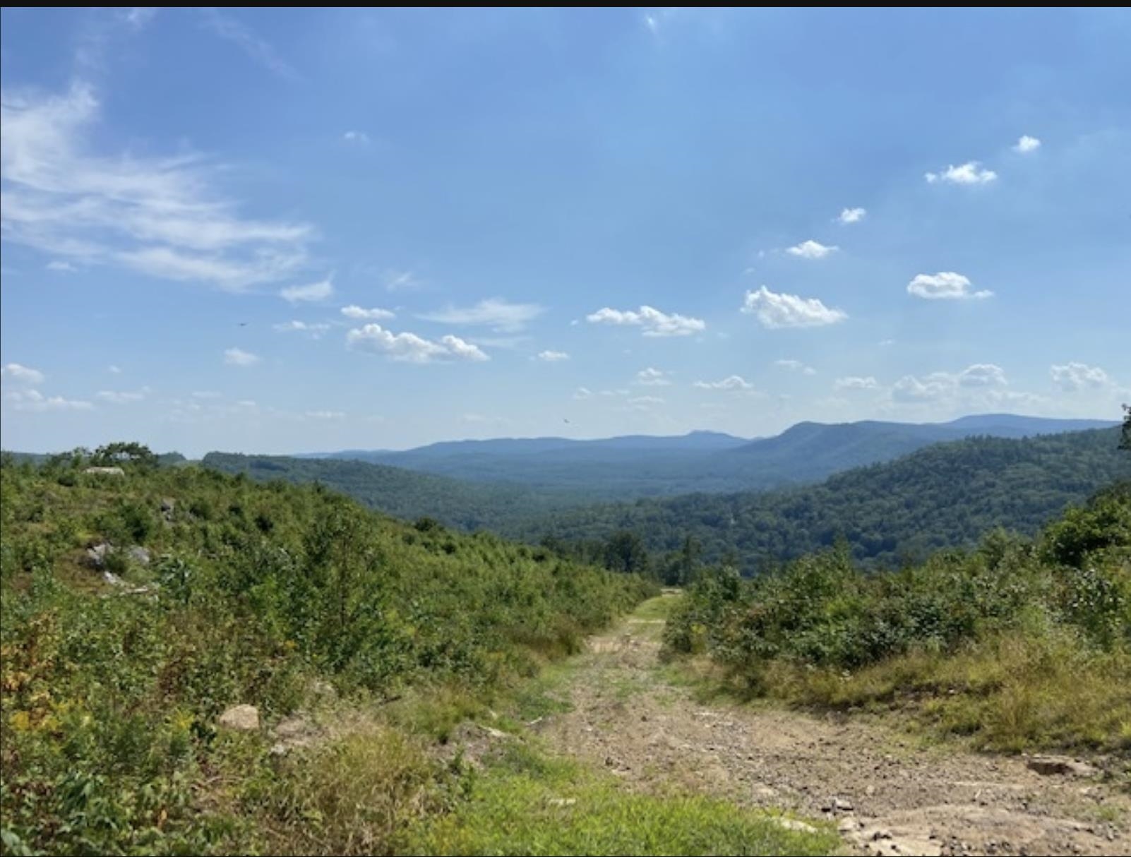 MLS #5041020 image #15