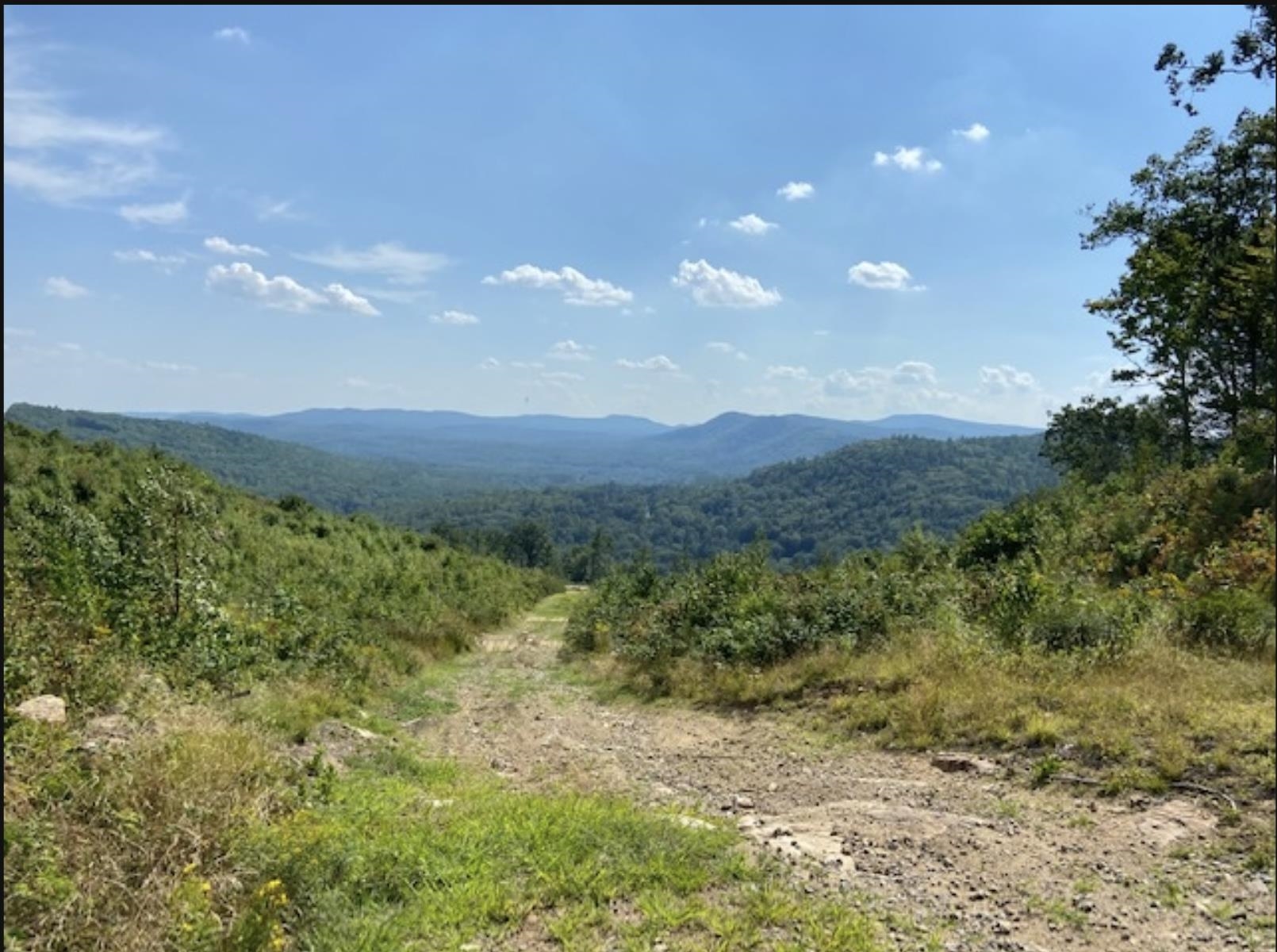 MLS #5041020 image #16