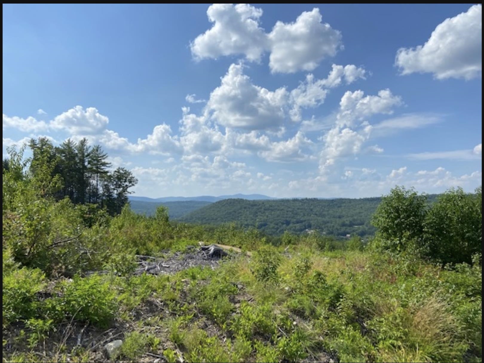 MLS #5041020 image #22