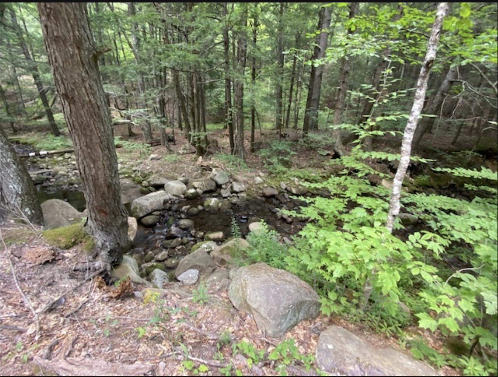 MLS #5041020 image #24