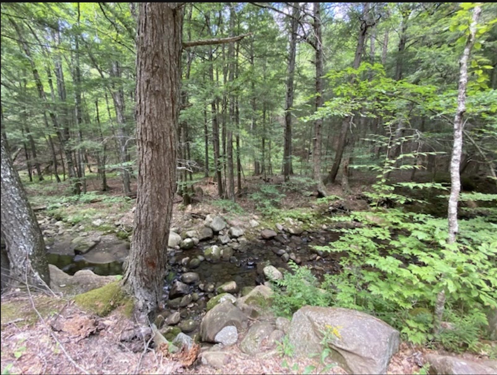 MLS #5041020 image #25