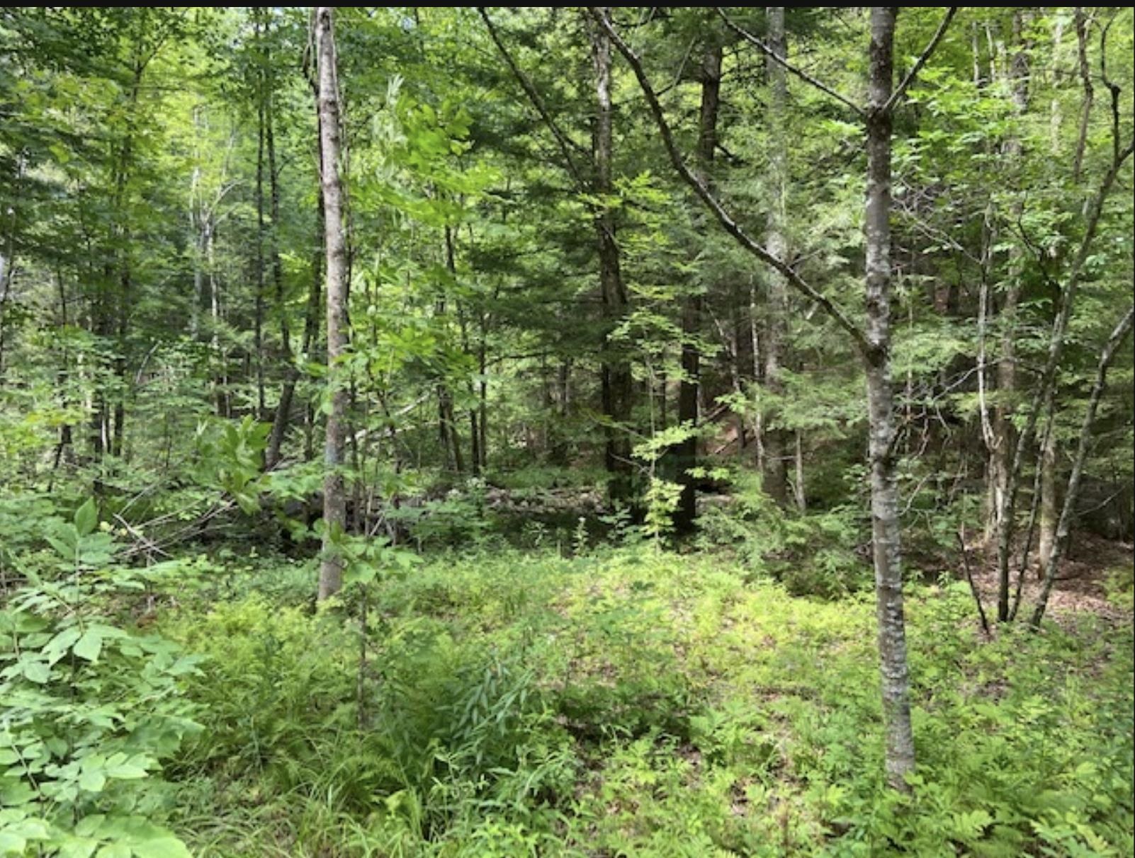 MLS #5041020 image #26