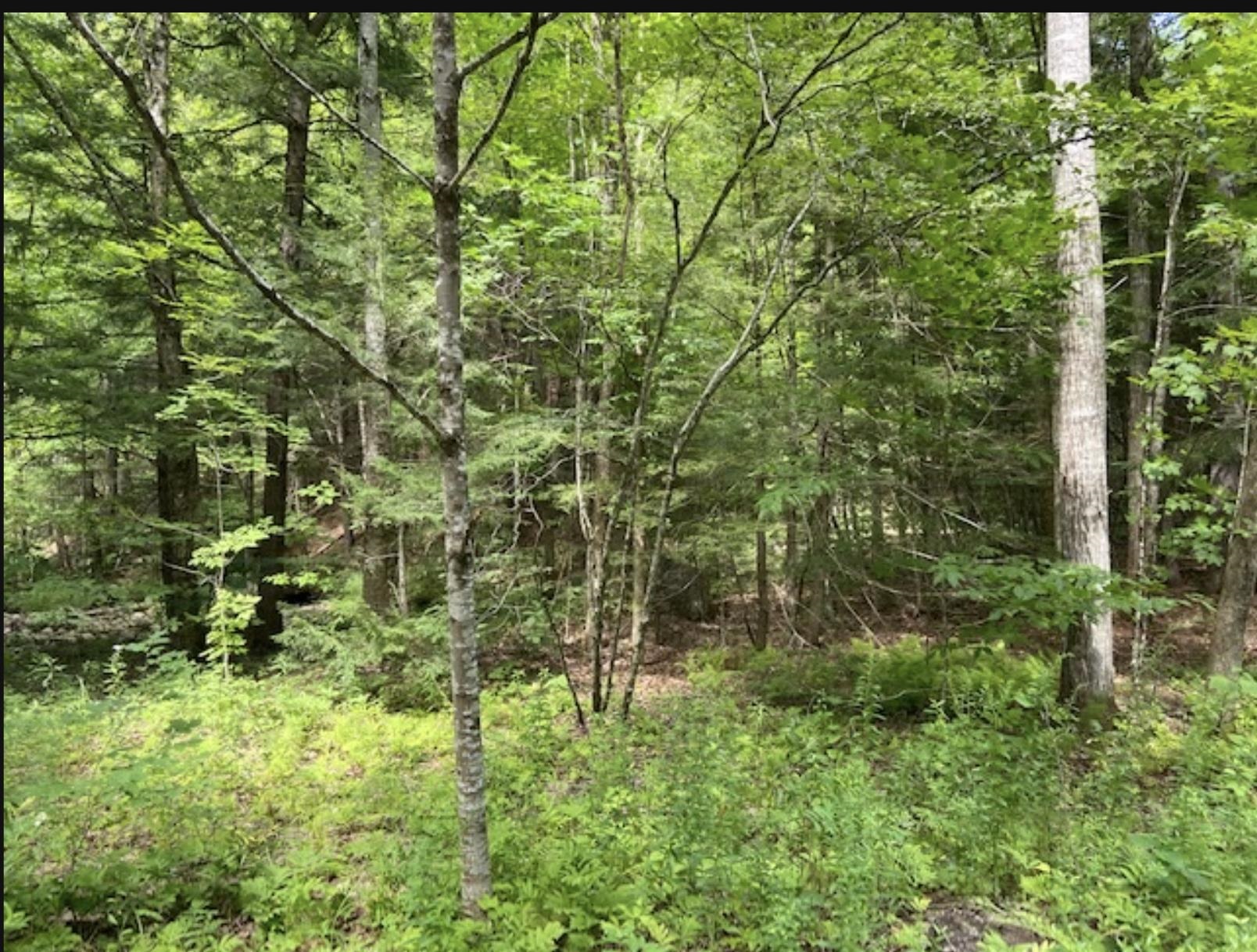 MLS #5041020 image #27