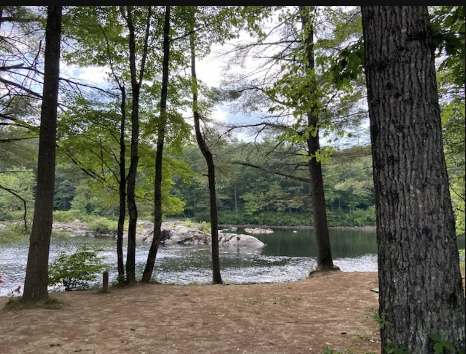 MLS #5041020 image #30