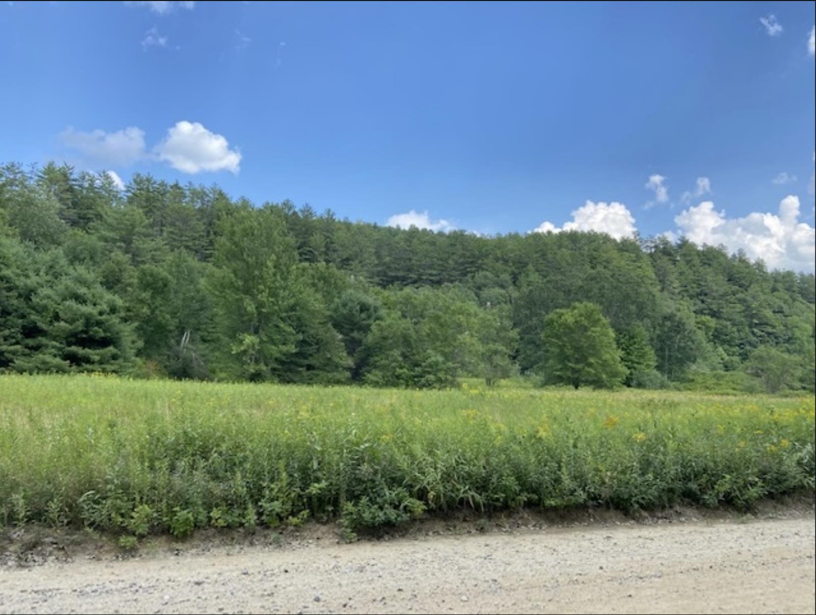 MLS #5041020 image #31