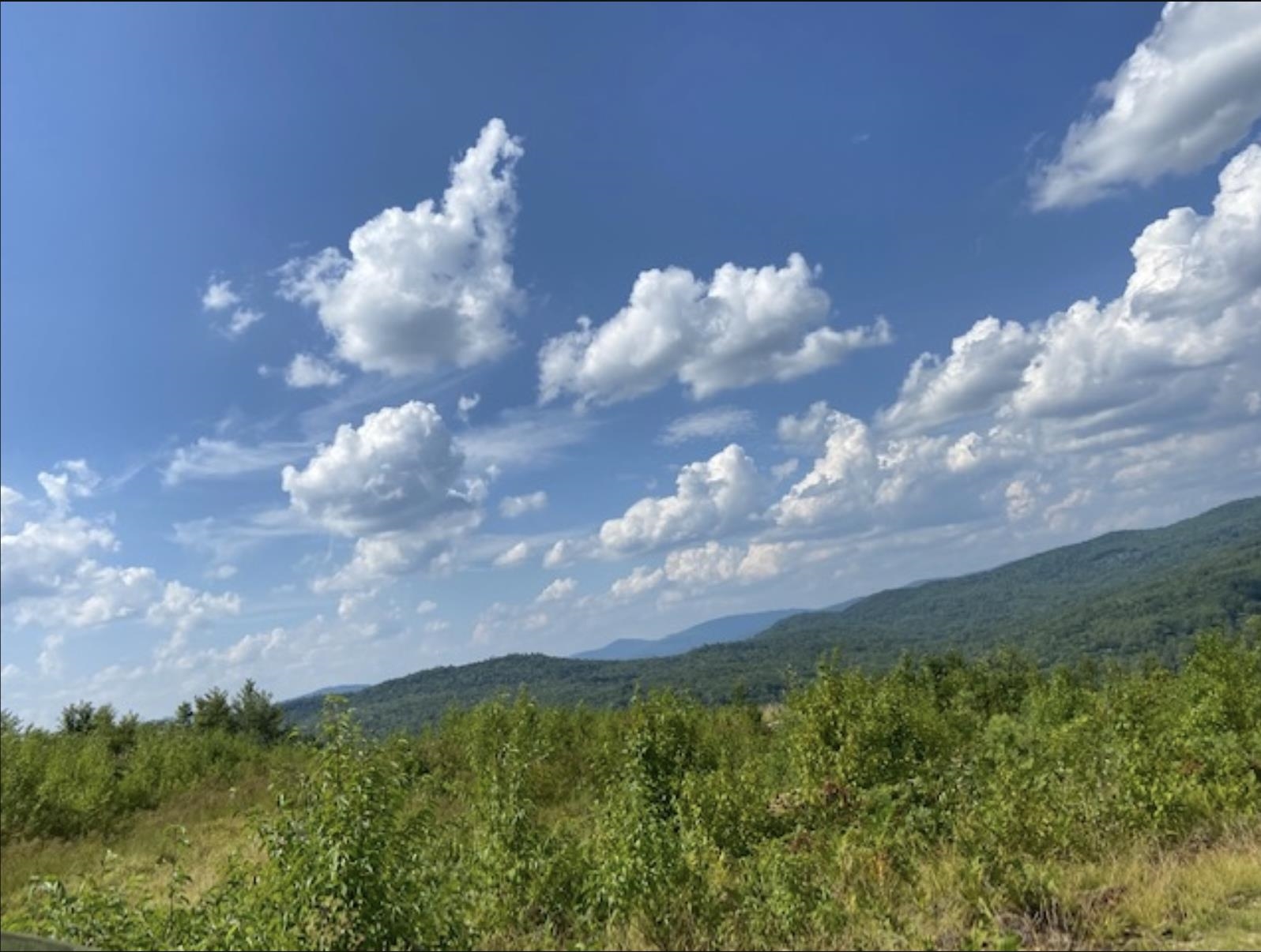 MLS #5041020 image #9