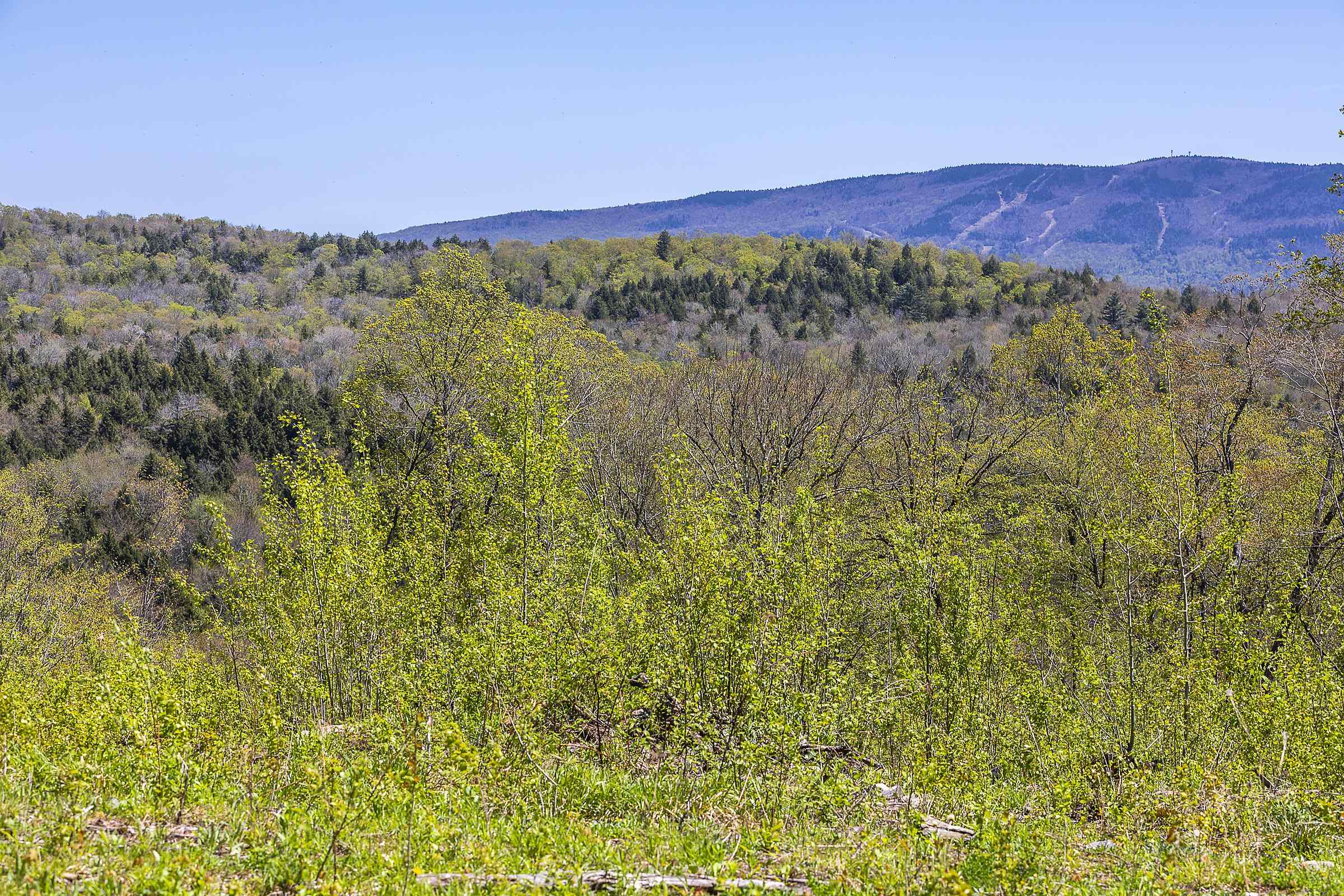 Homes for sale in Peru, VT | 0 Rock Bottom Ln, Peru, VT 05152 | MLS# 5041167