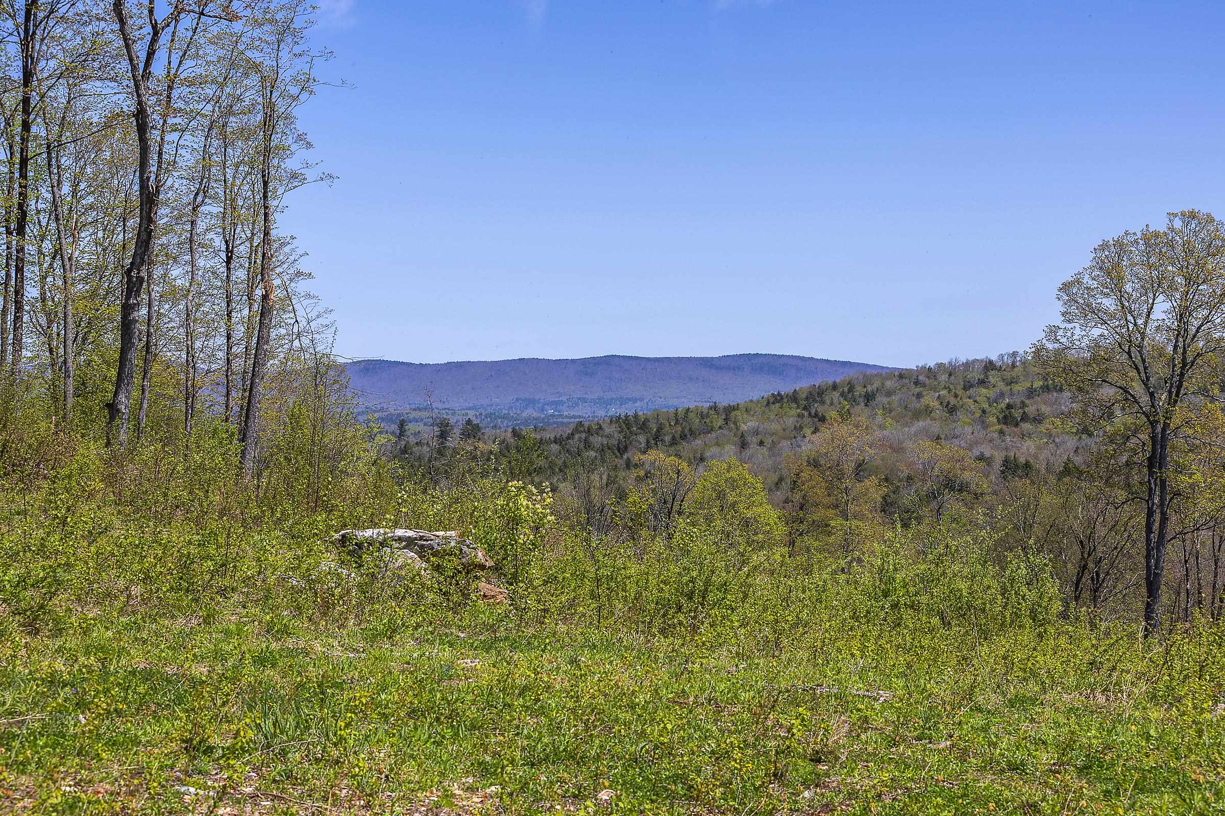 Homes for sale in Peru, VT | 0 Rock Bottom Ln, Peru, VT 05152 | MLS# 5041167