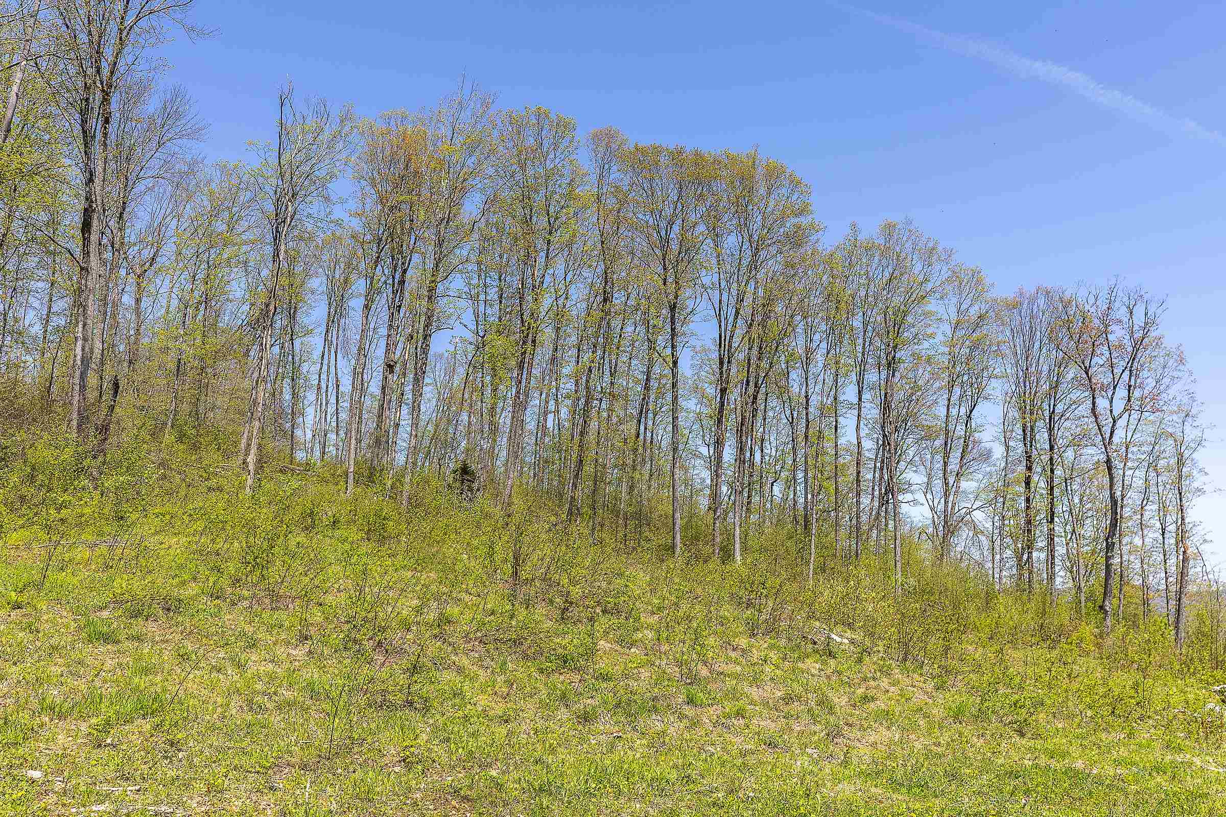 Homes for sale in Peru, VT | 0 Rock Bottom Ln, Peru, VT 05152 | MLS# 5041167