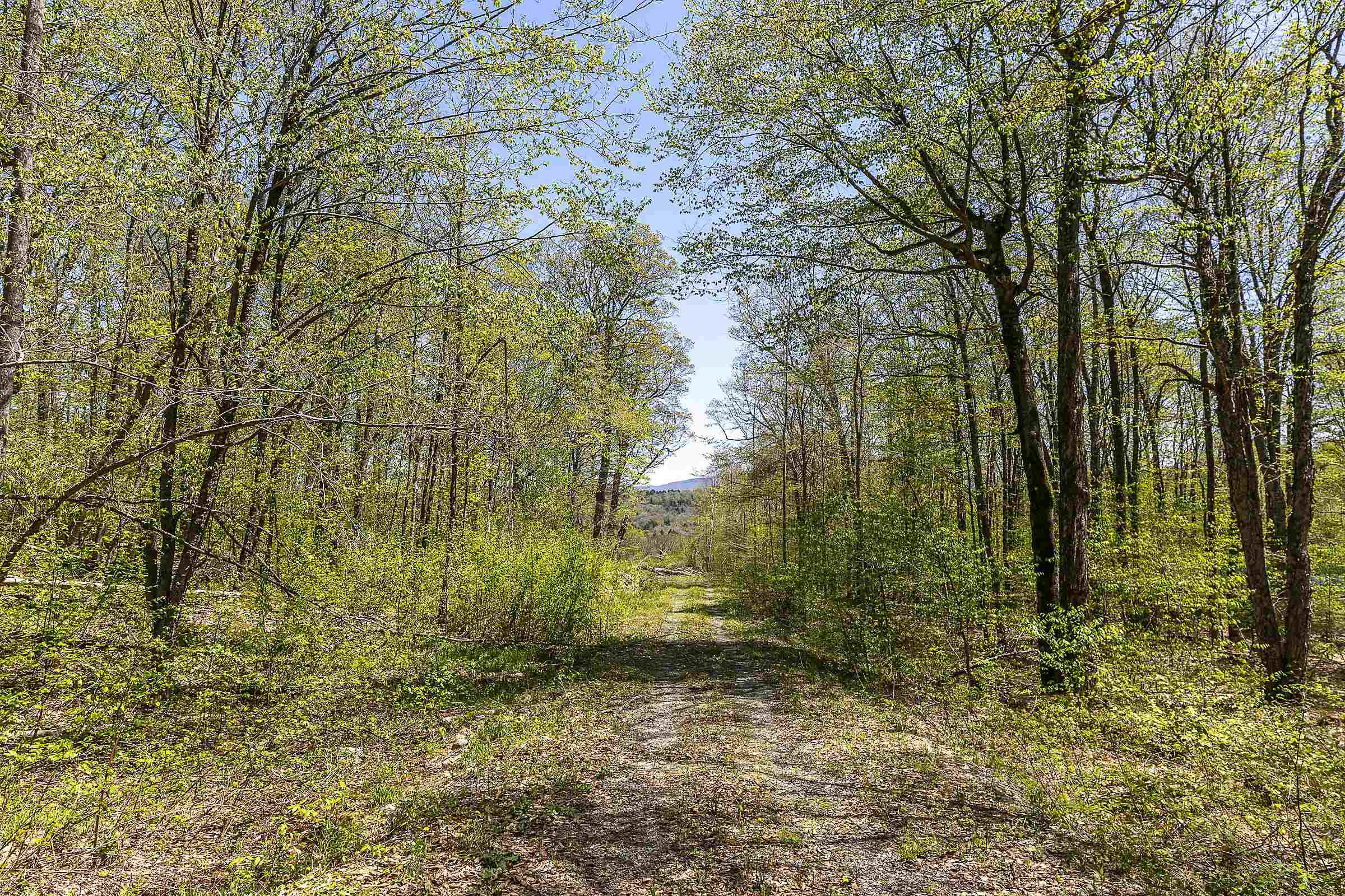 Homes for sale in Peru, VT | 0 Rock Bottom Ln, Peru, VT 05152 | MLS# 5041167