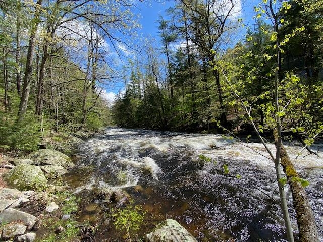 Spring water rushing 23156247