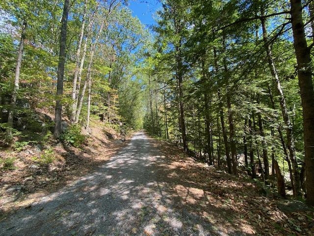 Very Private 24007956