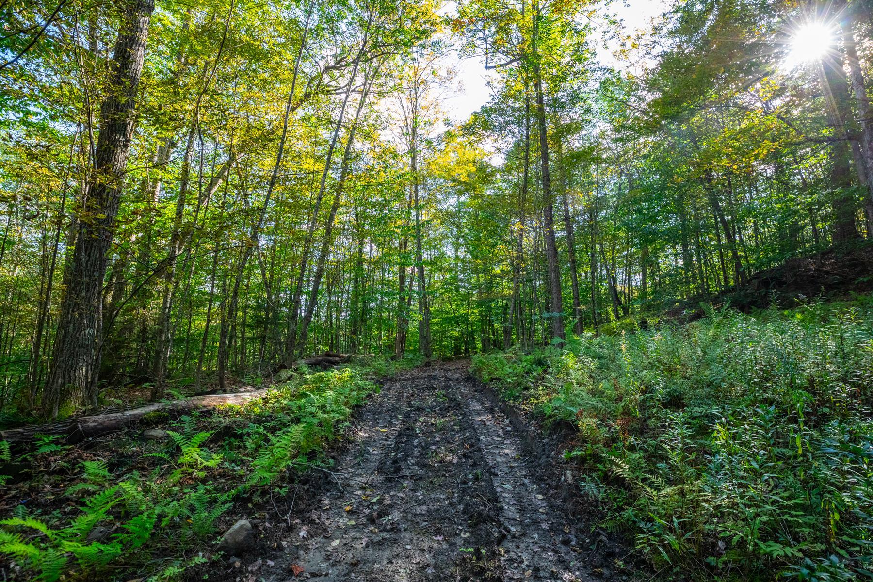 Pomfret VT Land for sale $699,000 | 52.3 Acres  | Price Per Acre $0  | Total Lots 2