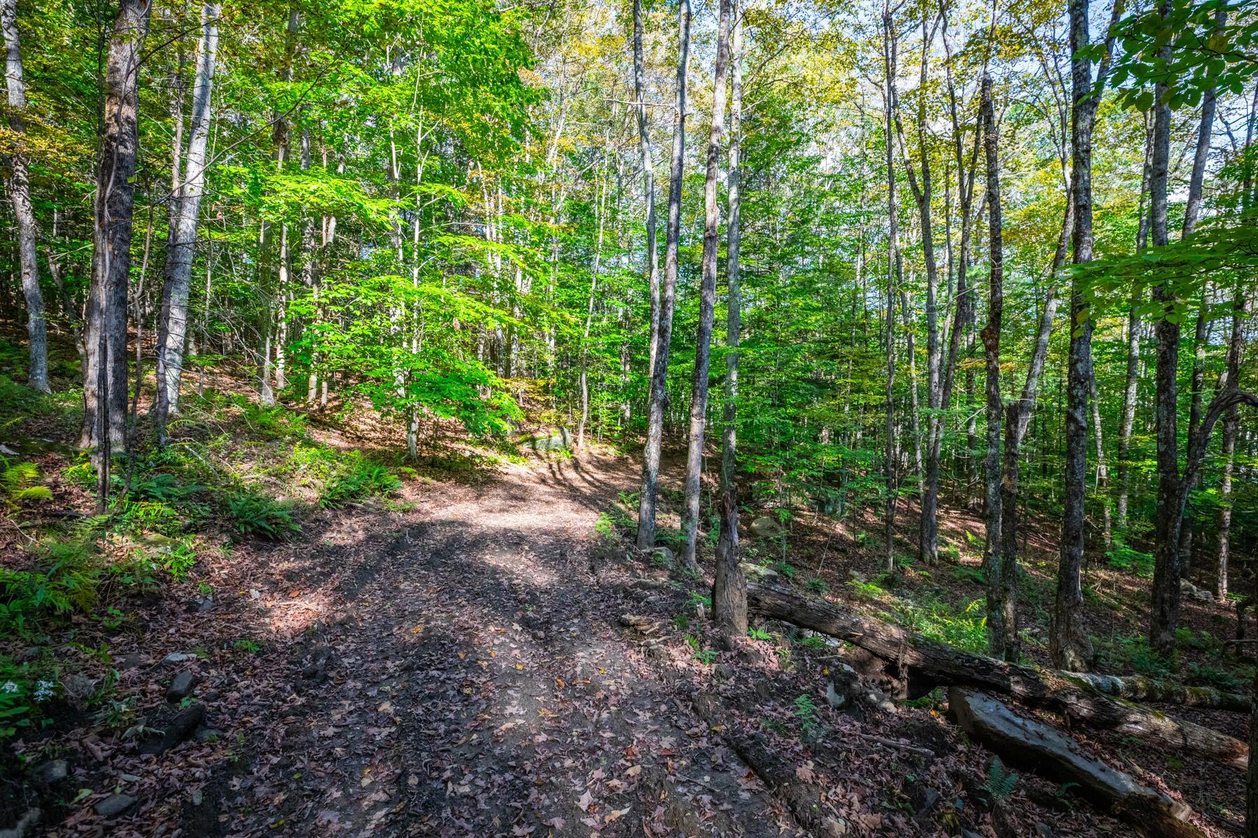 Homes for sale in Pomfret, VT | 00 Granite Ledge, Pomfret, VT 05059 | MLS# 5041226