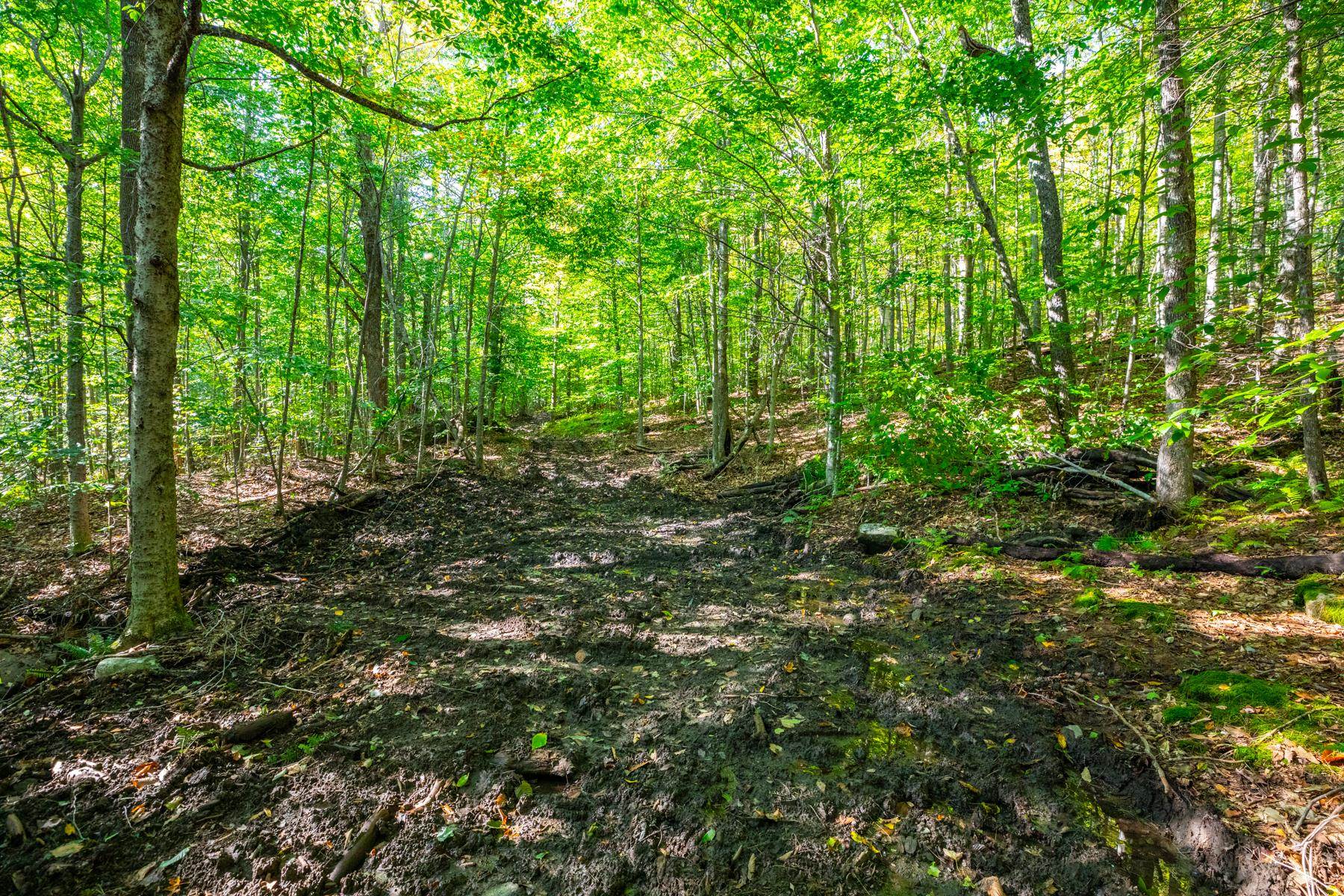 Homes for sale in Pomfret, VT | 00 Granite Ledge, Pomfret, VT 05059 | MLS# 5041226