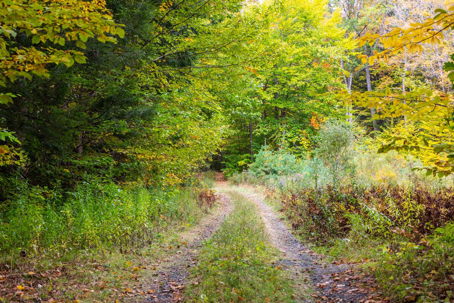 Homes for sale in Pomfret, VT | 00 Granite Ledge, Pomfret, VT 05059 | MLS# 5041226
