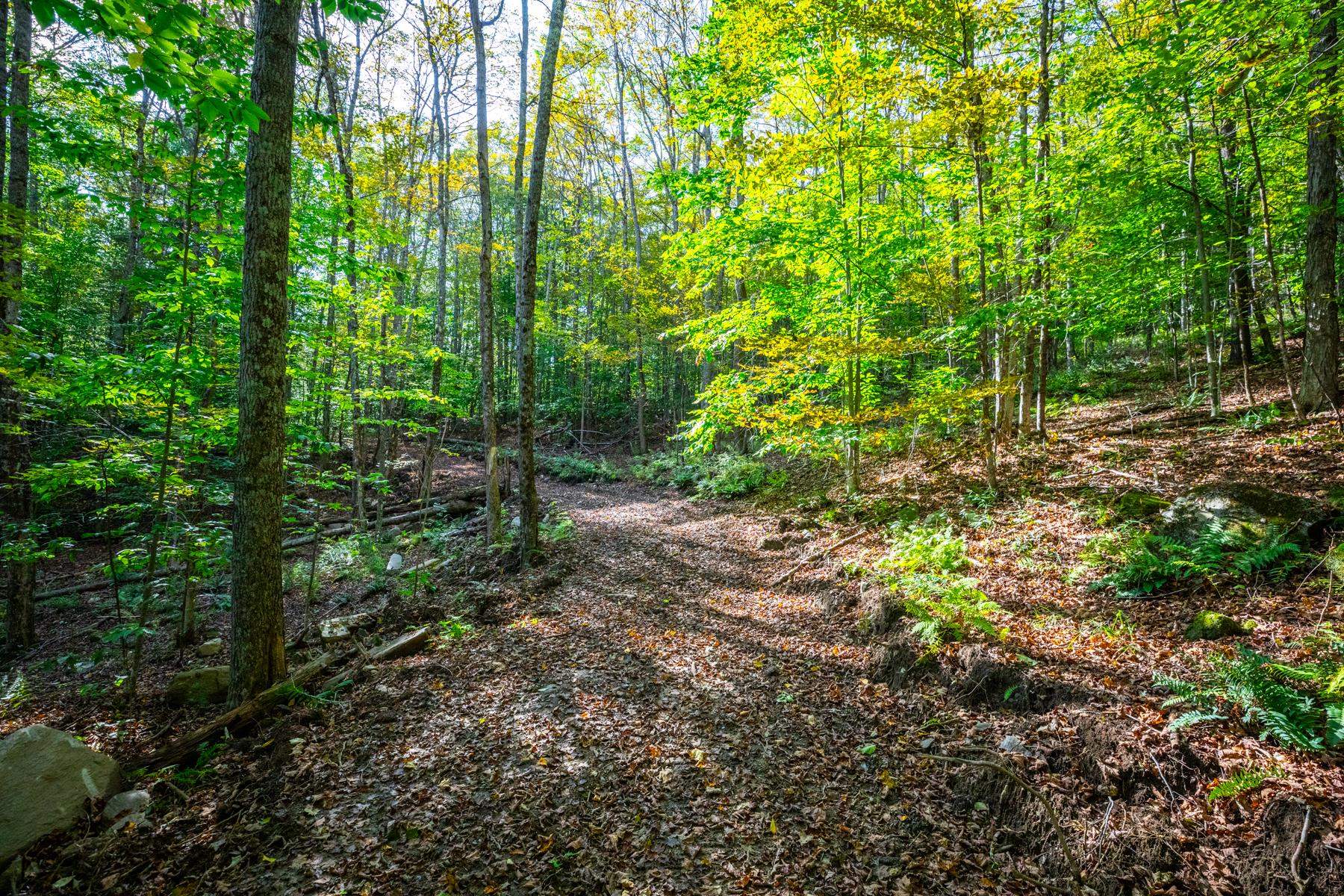 Homes for sale in Pomfret, VT | 00 Granite Ledge, Pomfret, VT 05059 | MLS# 5041226