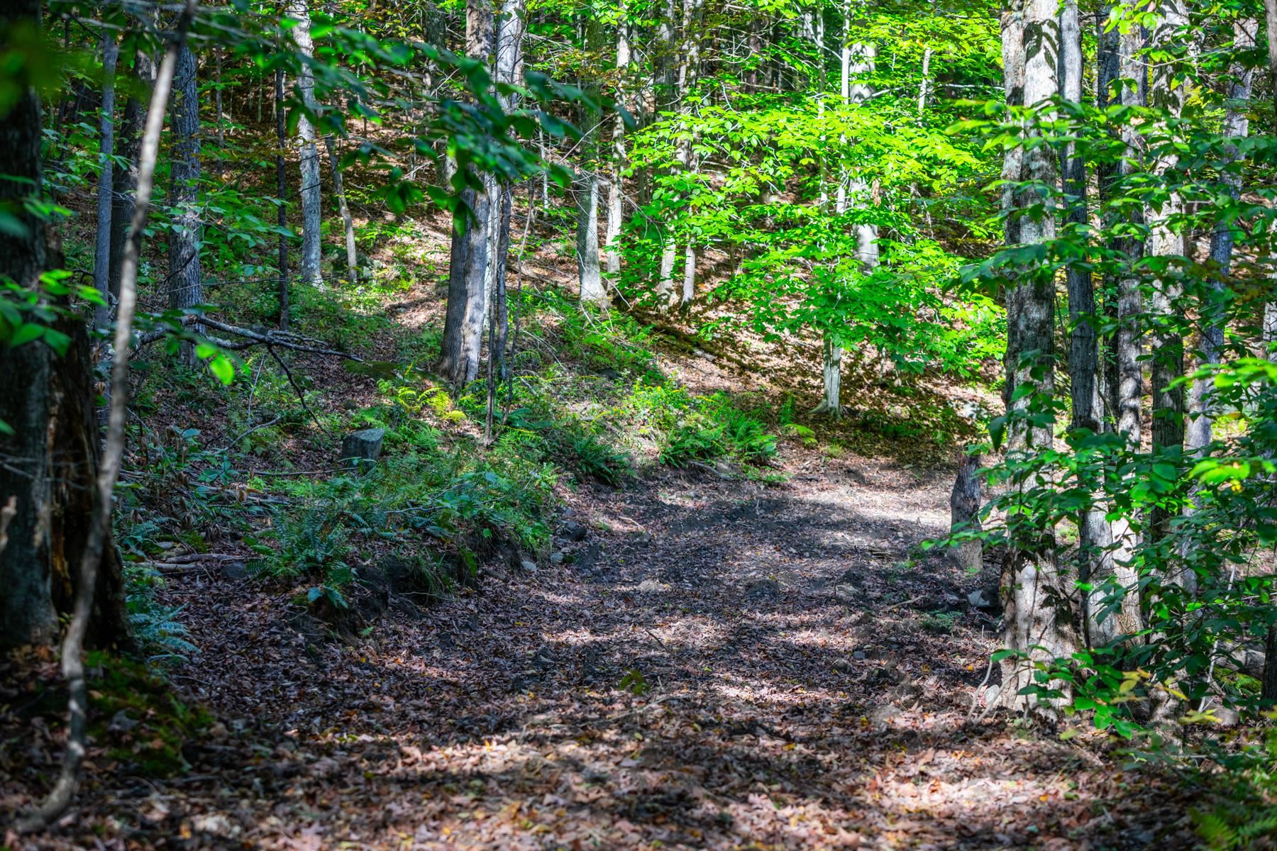 Homes for sale in Pomfret, VT | 00 Granite Ledge, Pomfret, VT 05059 | MLS# 5041226