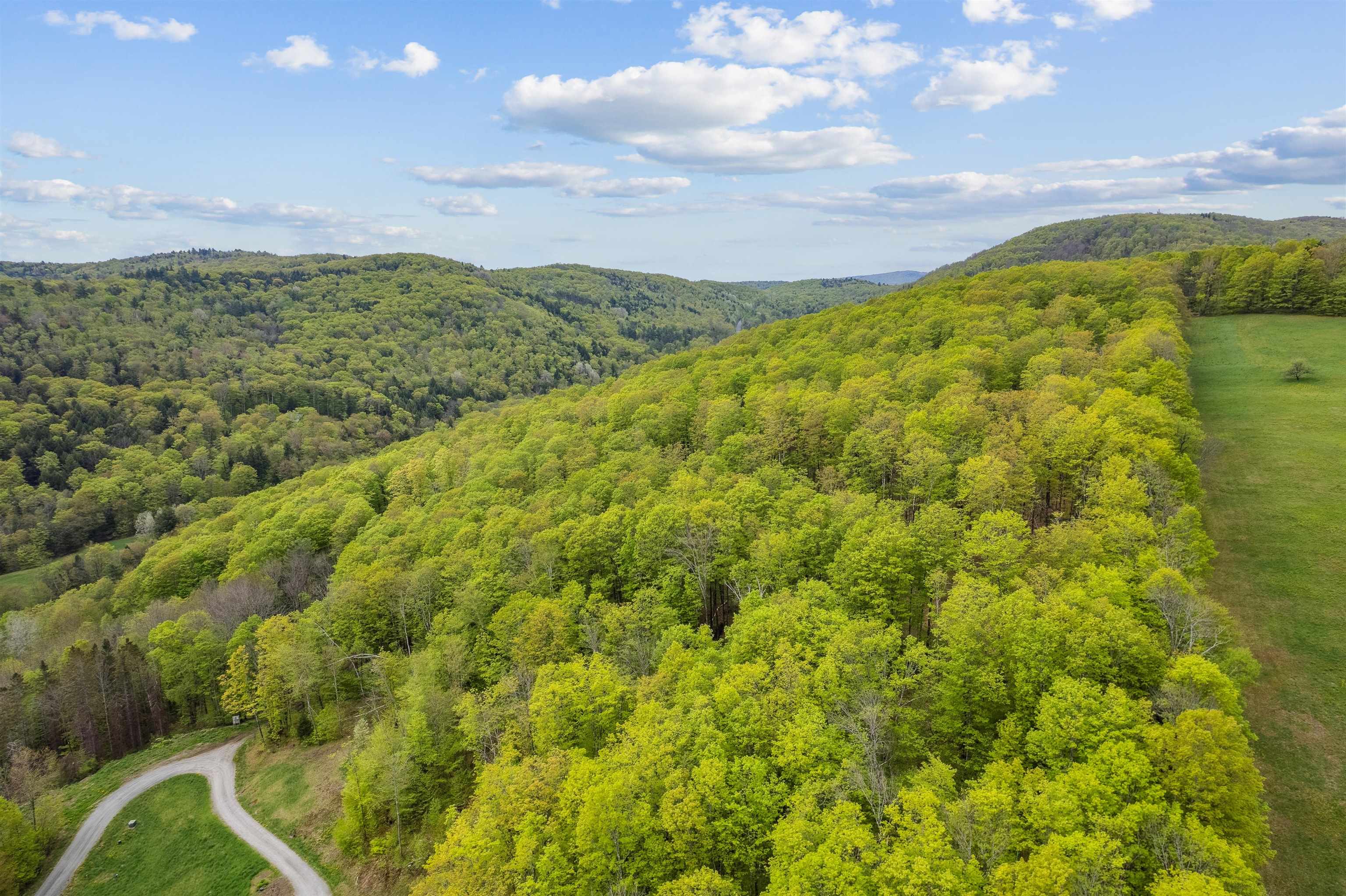 Homes for sale in Woodstock, VT | Noah Wood Rd, Woodstock, VT 05071 | MLS# 5041410