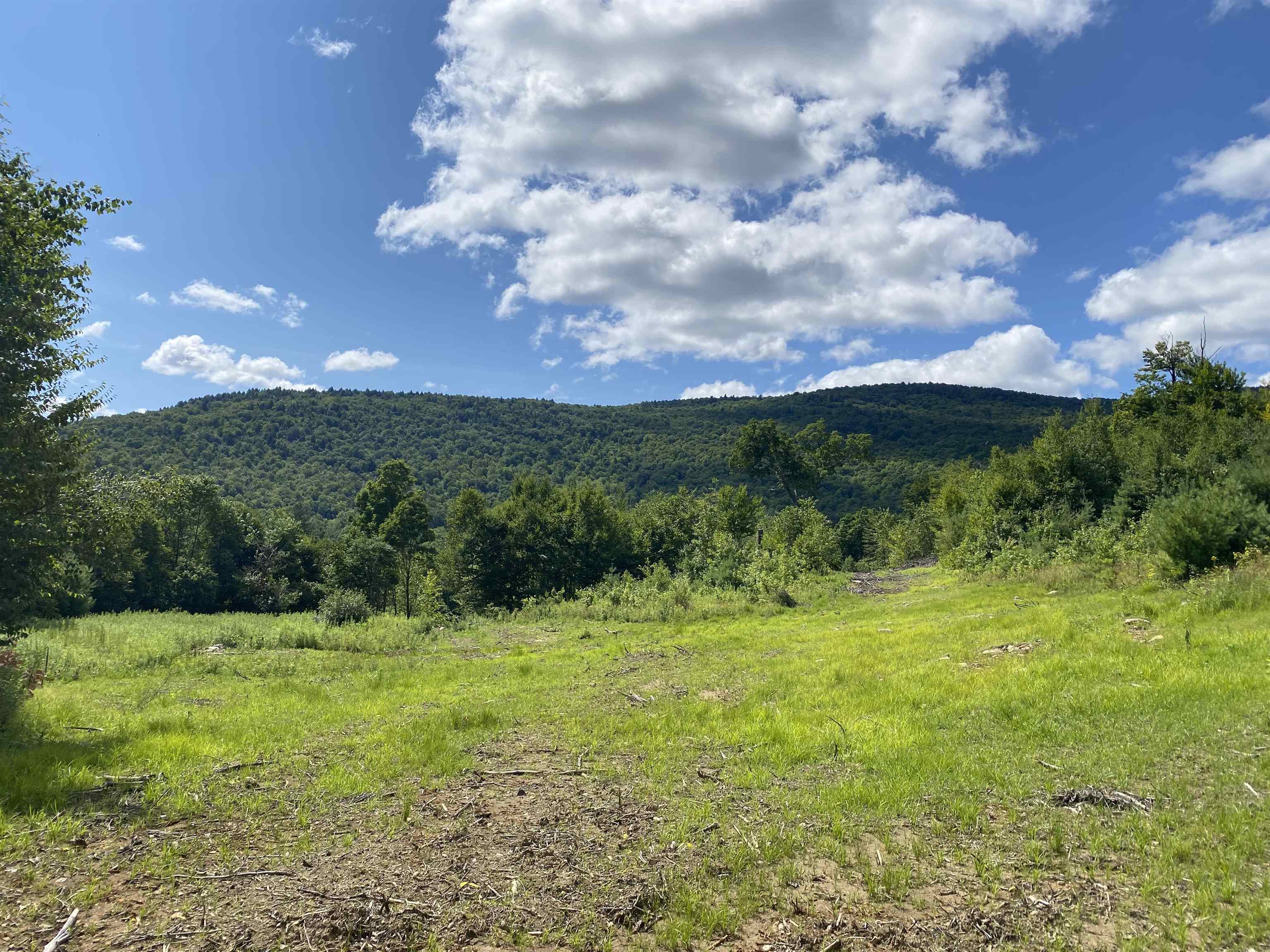 Homes for sale in Cavendish, VT | 00 Grout Rd, Cavendish, VT 05153 | MLS# 5041461