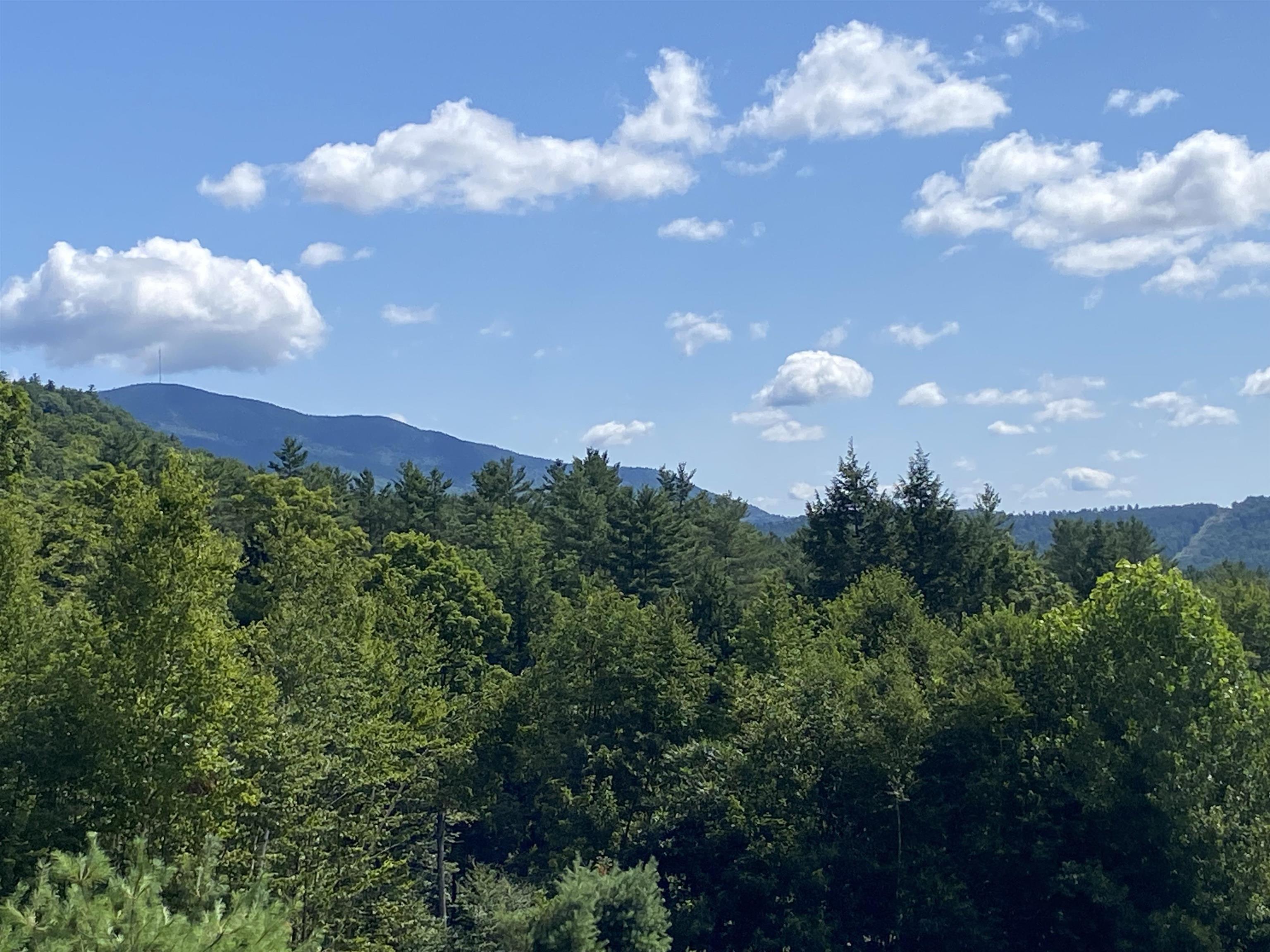 Homes for sale in Cavendish, VT | 00 Grout Rd, Cavendish, VT 05153 | MLS# 5041461