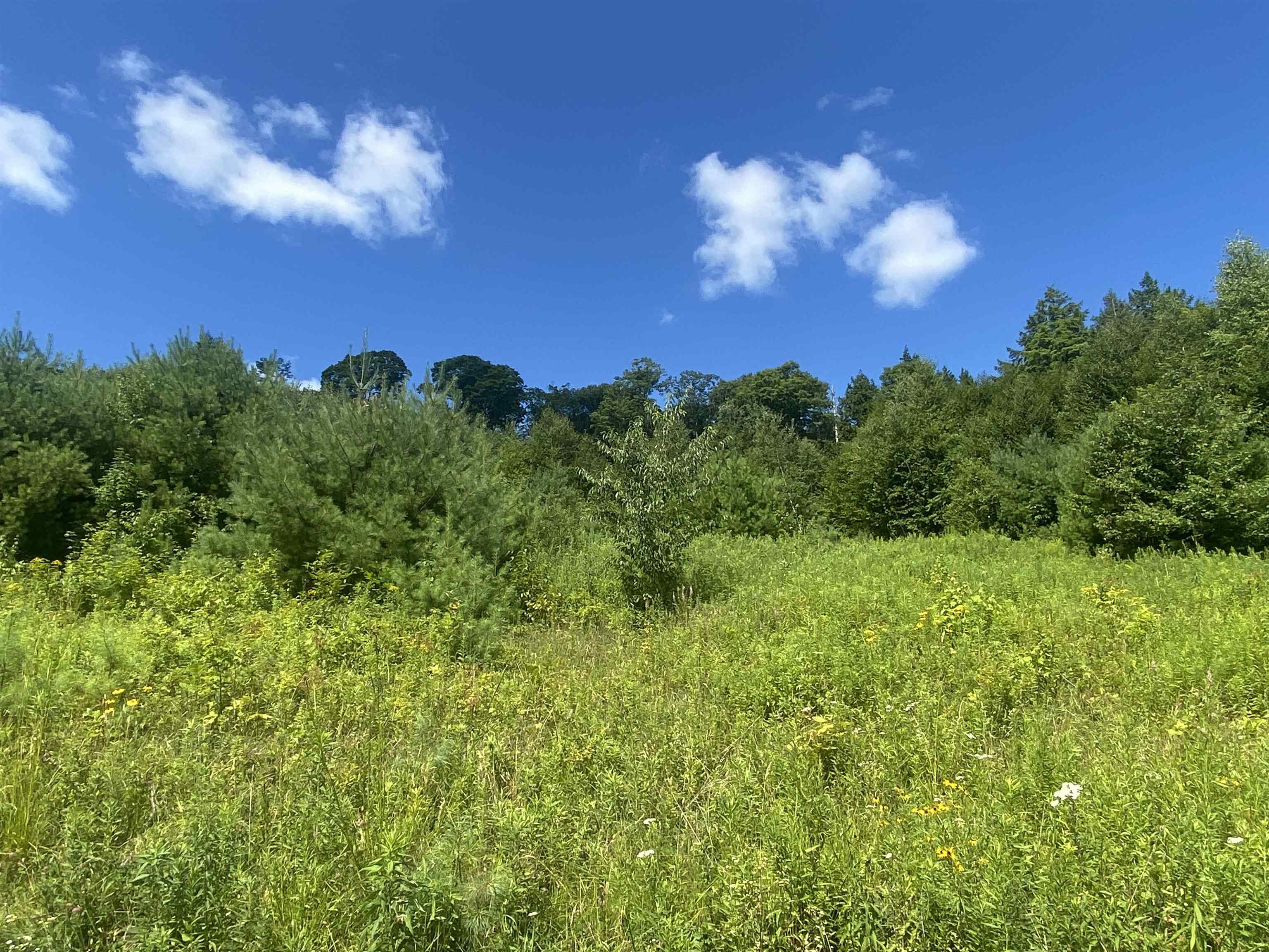 Homes for sale in Cavendish, VT | 00 Grout Rd, Cavendish, VT 05153 | MLS# 5041461