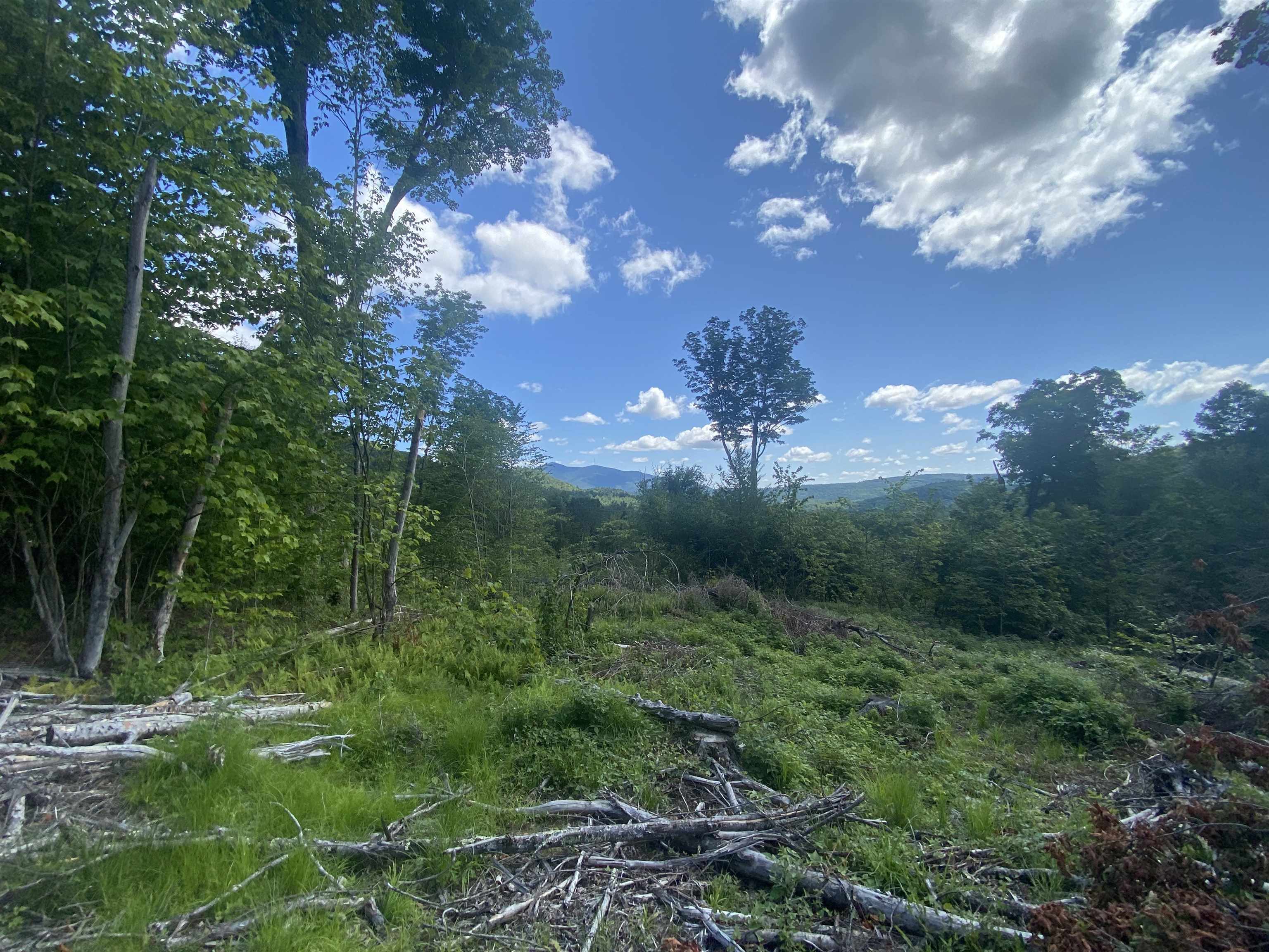 Homes for sale in Cavendish, VT | 00 Grout Rd, Cavendish, VT 05153 | MLS# 5041461