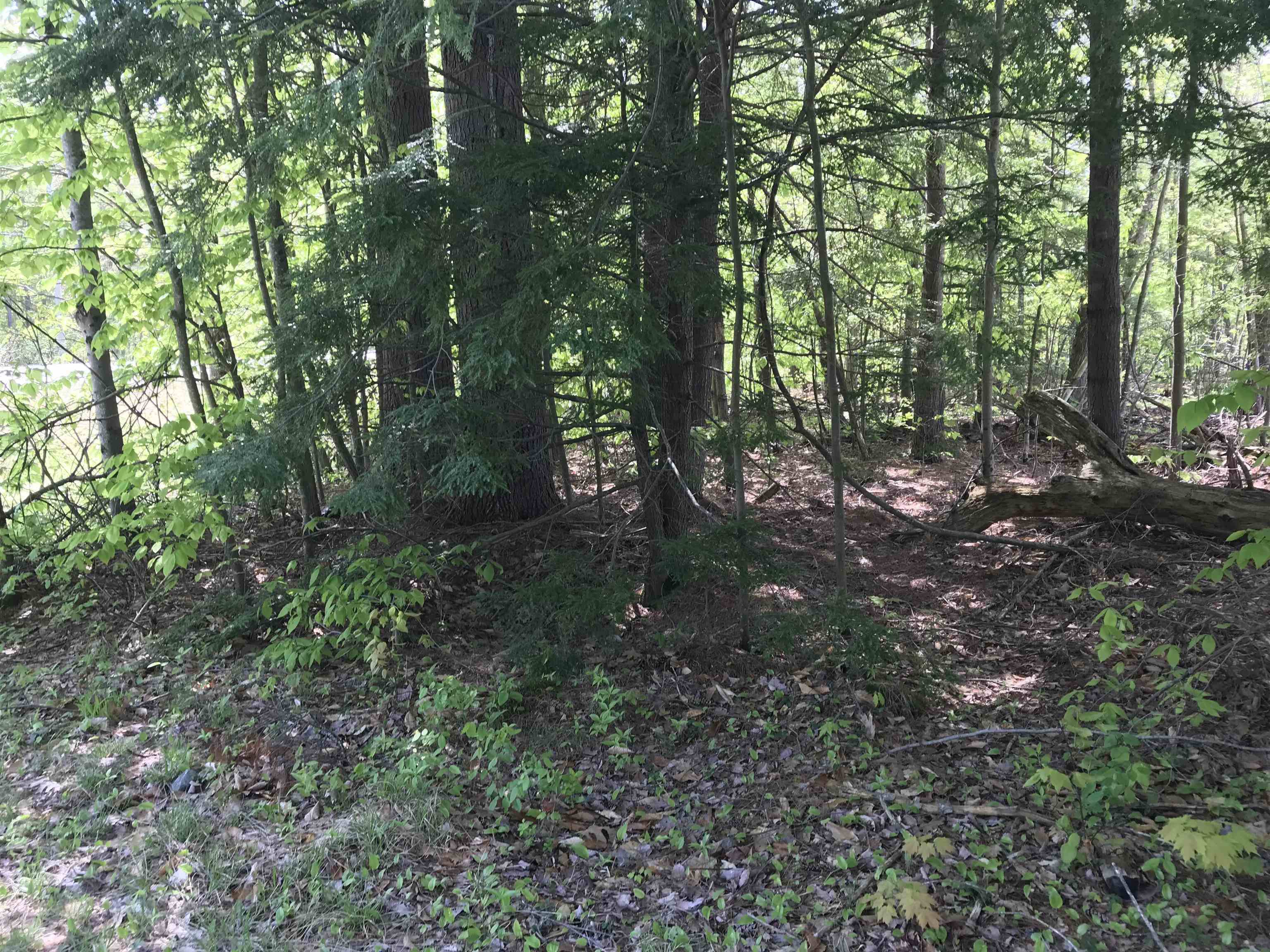 Homes for sale in Stoddard, NH | 42-11 Route 9, Stoddard, NH 03464 | MLS# 5041493