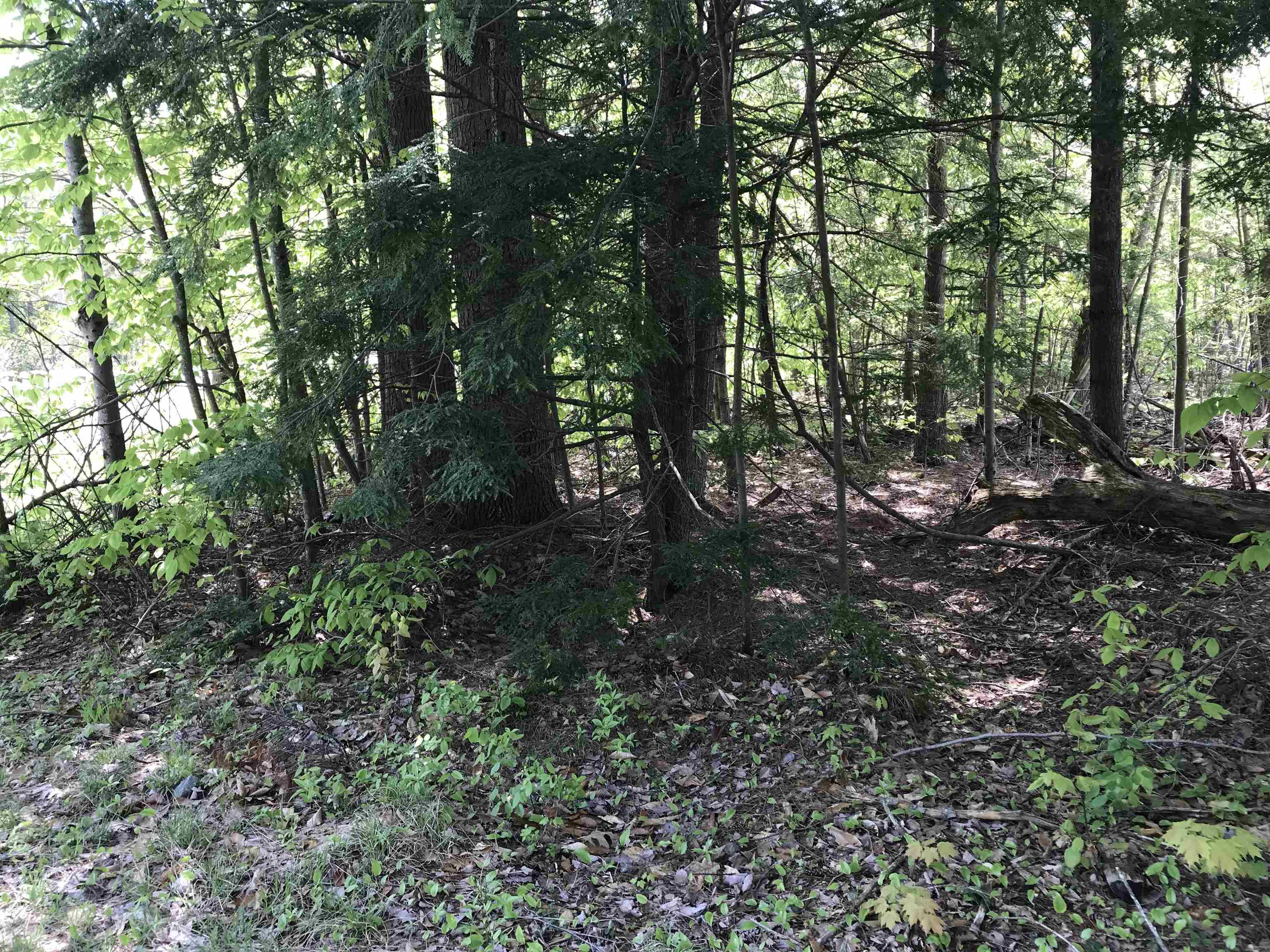 Homes for sale in Stoddard, NH | 42-11 Route 9, Stoddard, NH 03464 | MLS# 5041493