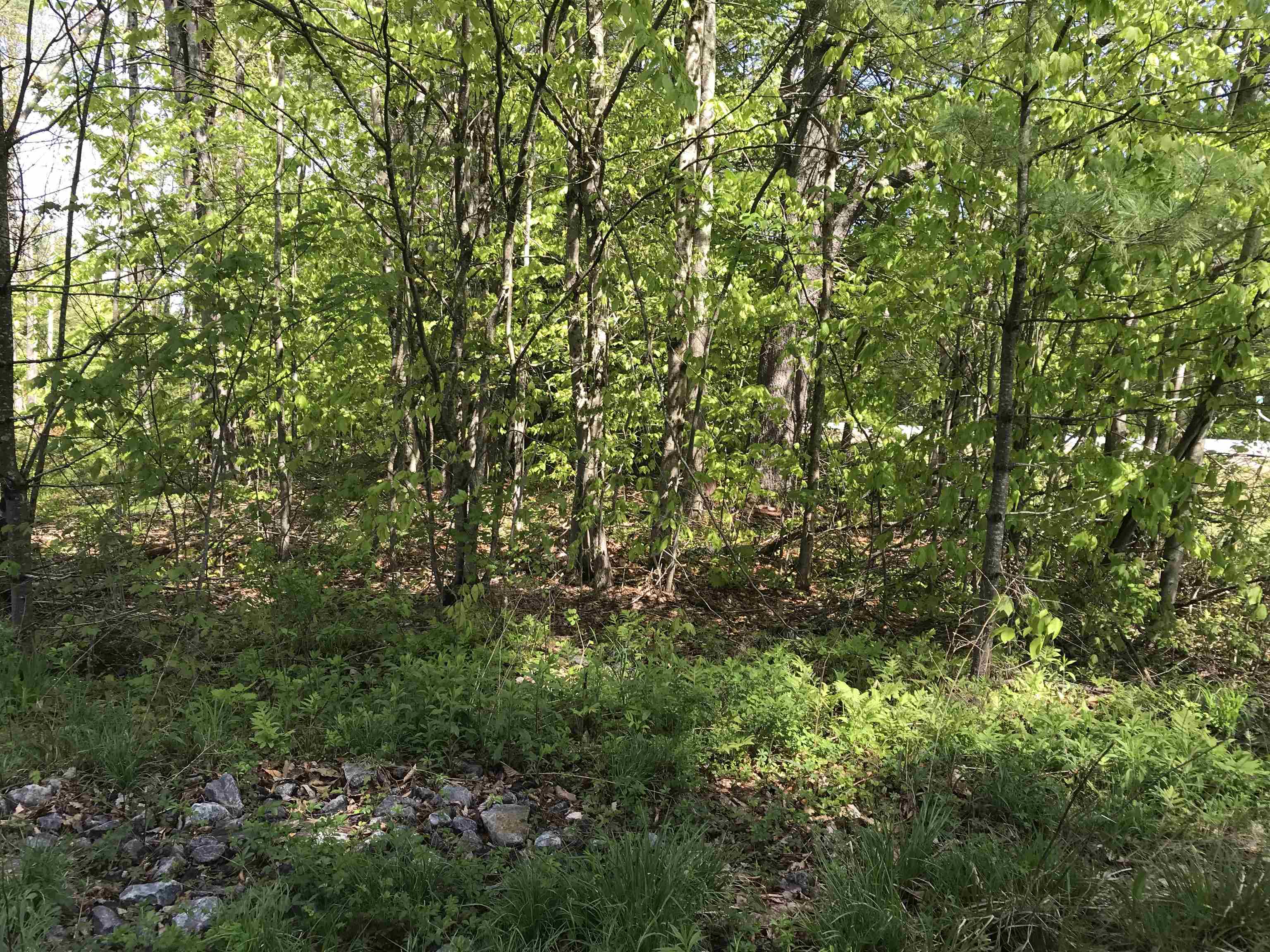 Homes for sale in Stoddard, NH | 42-11 Route 9, Stoddard, NH 03464 | MLS# 5041493