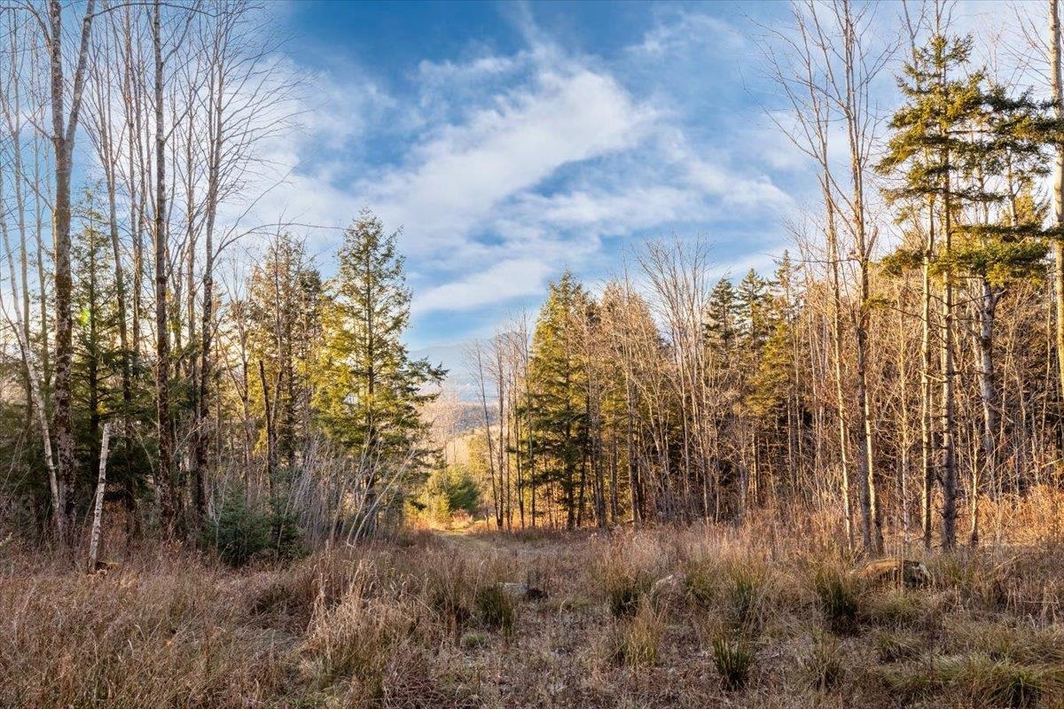 Homes for sale in Waterbury, VT | 00 Bear Creek Ln, Waterbury, VT 05671 | MLS# 5041605