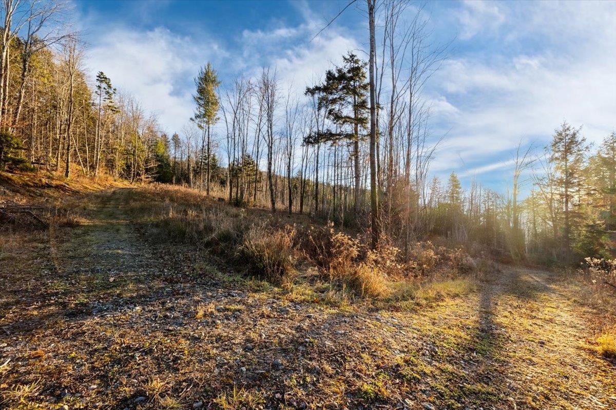 Homes for sale in Waterbury, VT | 00 Bear Creek Ln, Waterbury, VT 05671 | MLS# 5041605