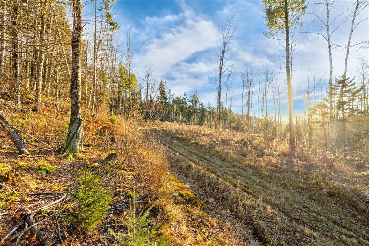 Homes for sale in Waterbury, VT | 00 Bear Creek Ln, Waterbury, VT 05671 | MLS# 5041605