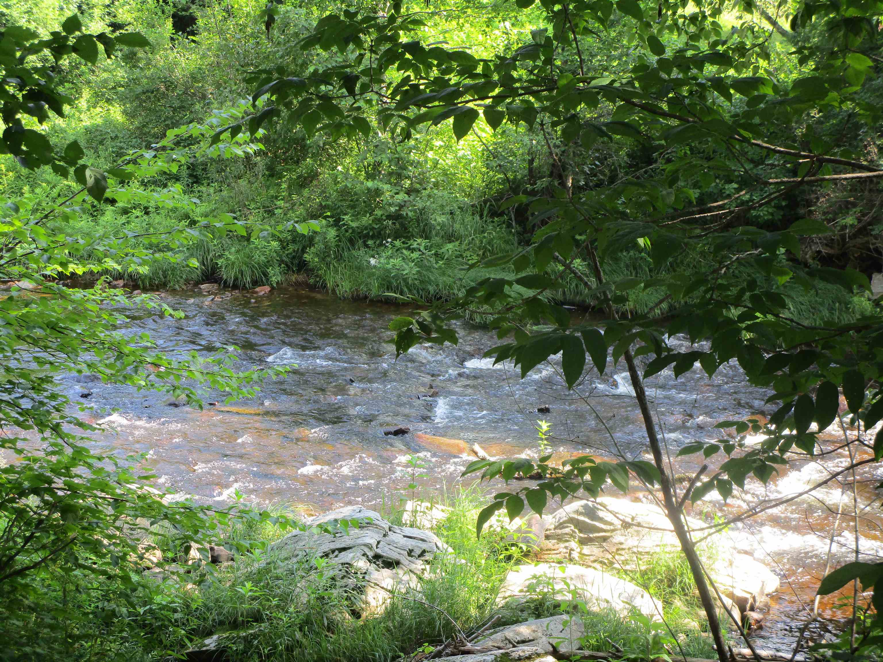 Homes for sale in Londonderry, VT | 1950 N Main St, Londonderry, VT 05148 | MLS# 5041665